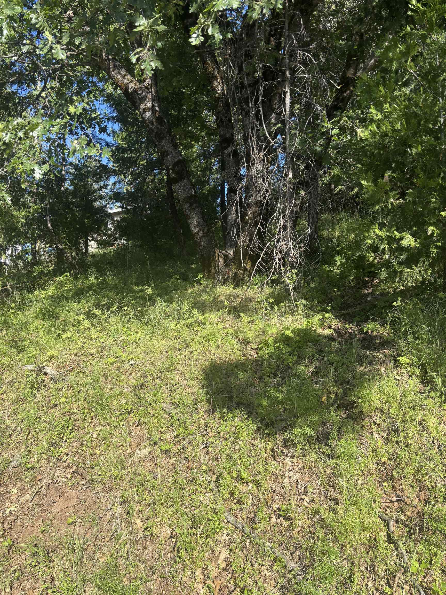 Detail Gallery Image 6 of 9 For 00000 Eastview Dr, Tuolumne,  CA 95379 - – Beds | – Baths