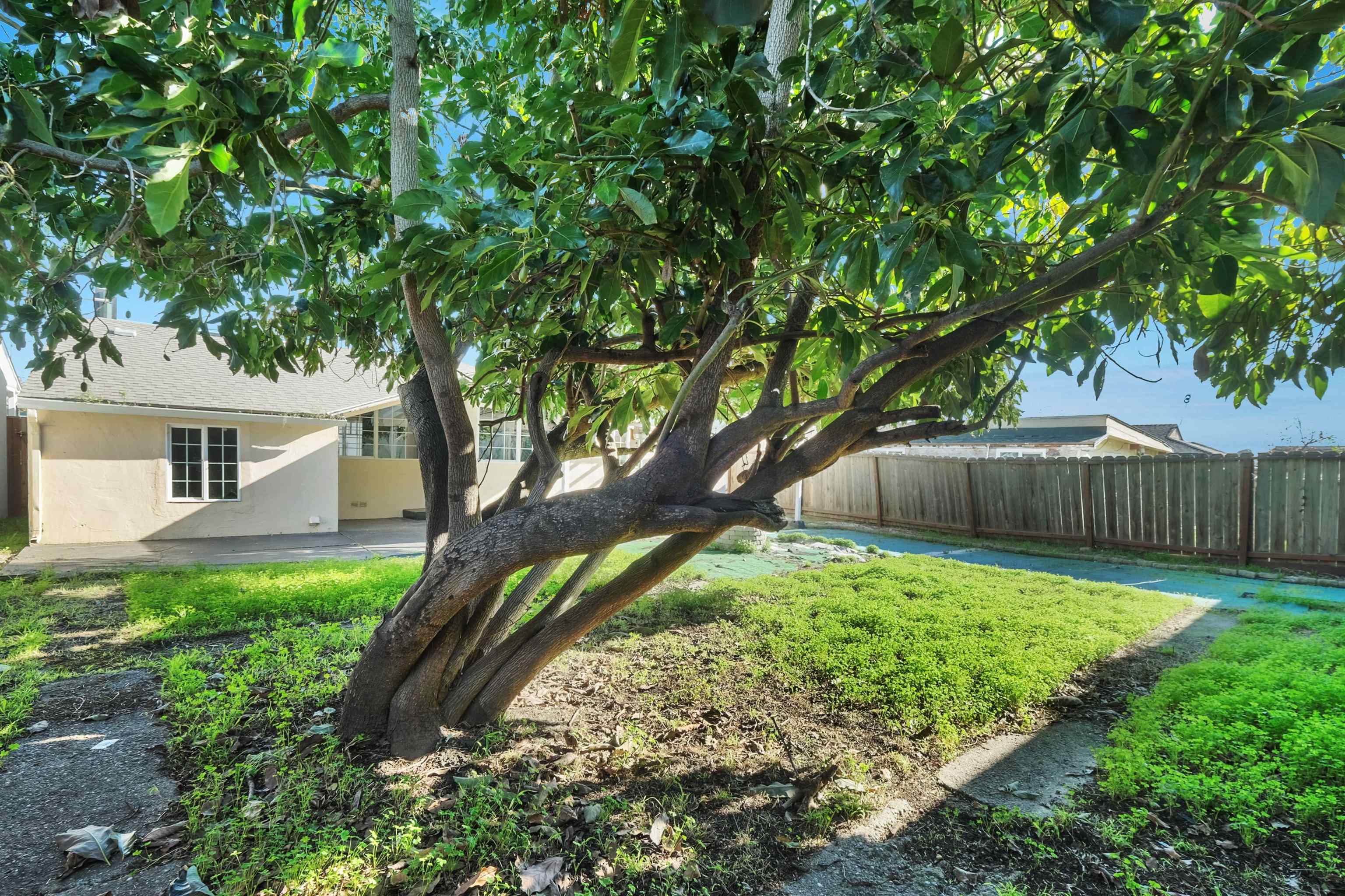 Detail Gallery Image 23 of 26 For 15879 Hesperian Blvd, San Lorenzo,  CA 94580 - 3 Beds | 1 Baths