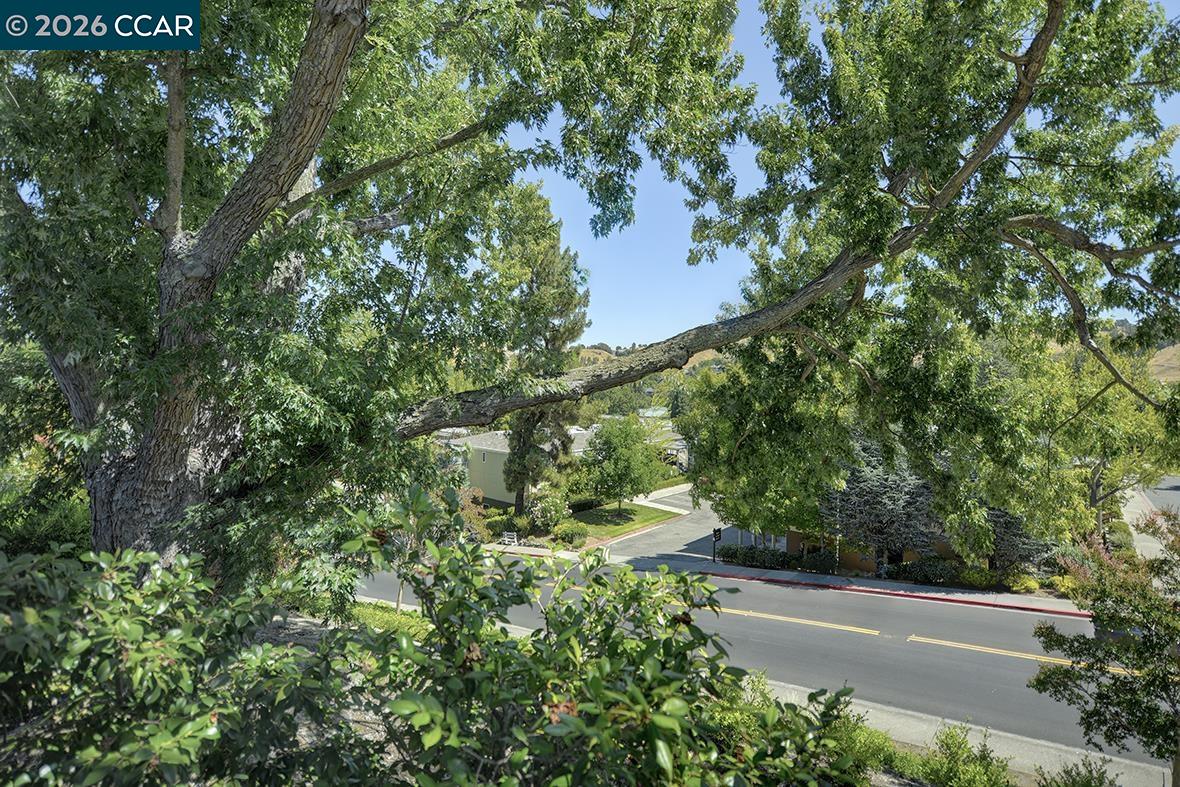 Photo #16: 41121216 Listing: Photo #16