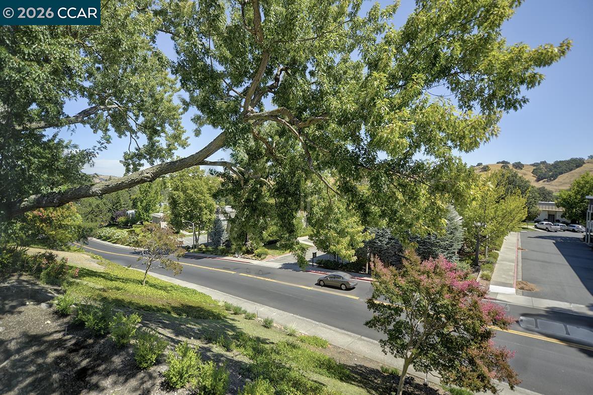 Photo #10: 41121216 Listing: Photo #10