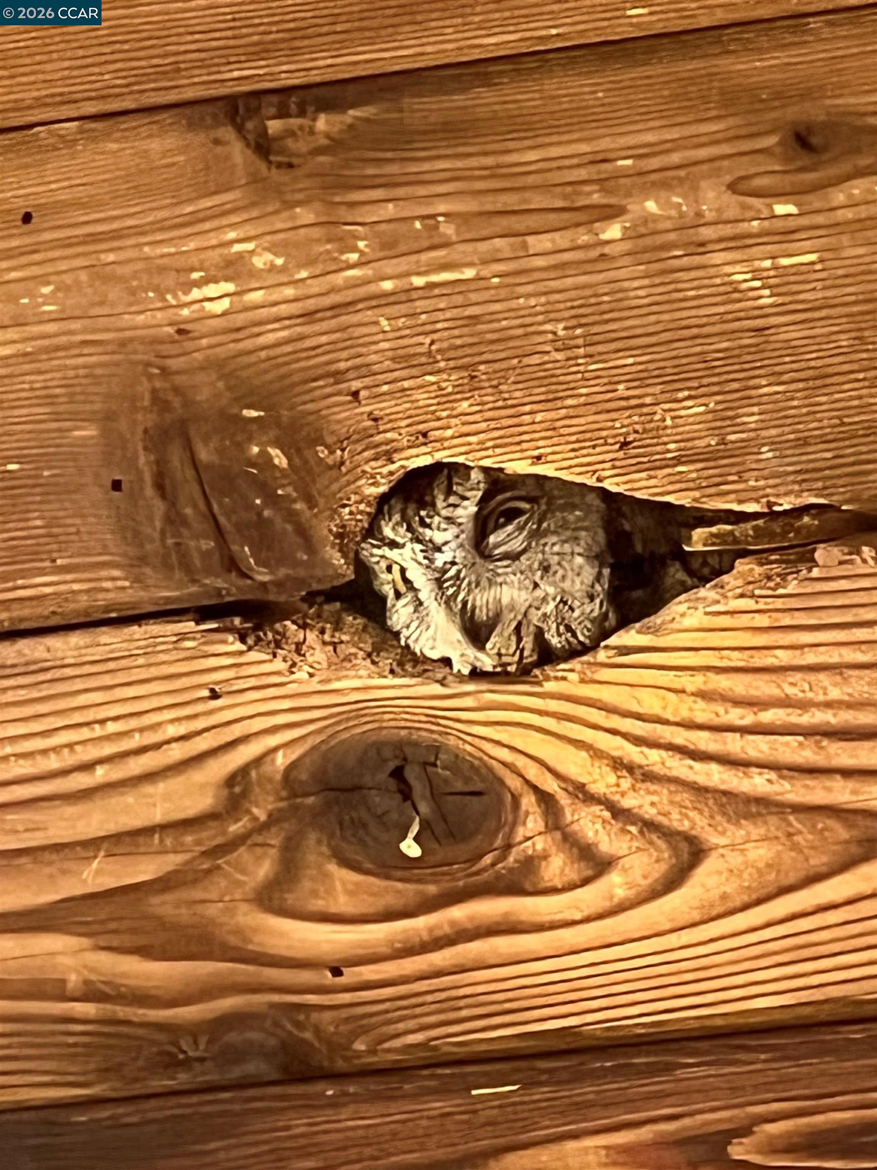 Detail Gallery Image 37 of 37 For 130 Hillcroft Way, Walnut Creek,  CA 94597 - 4 Beds | 3/1 Baths