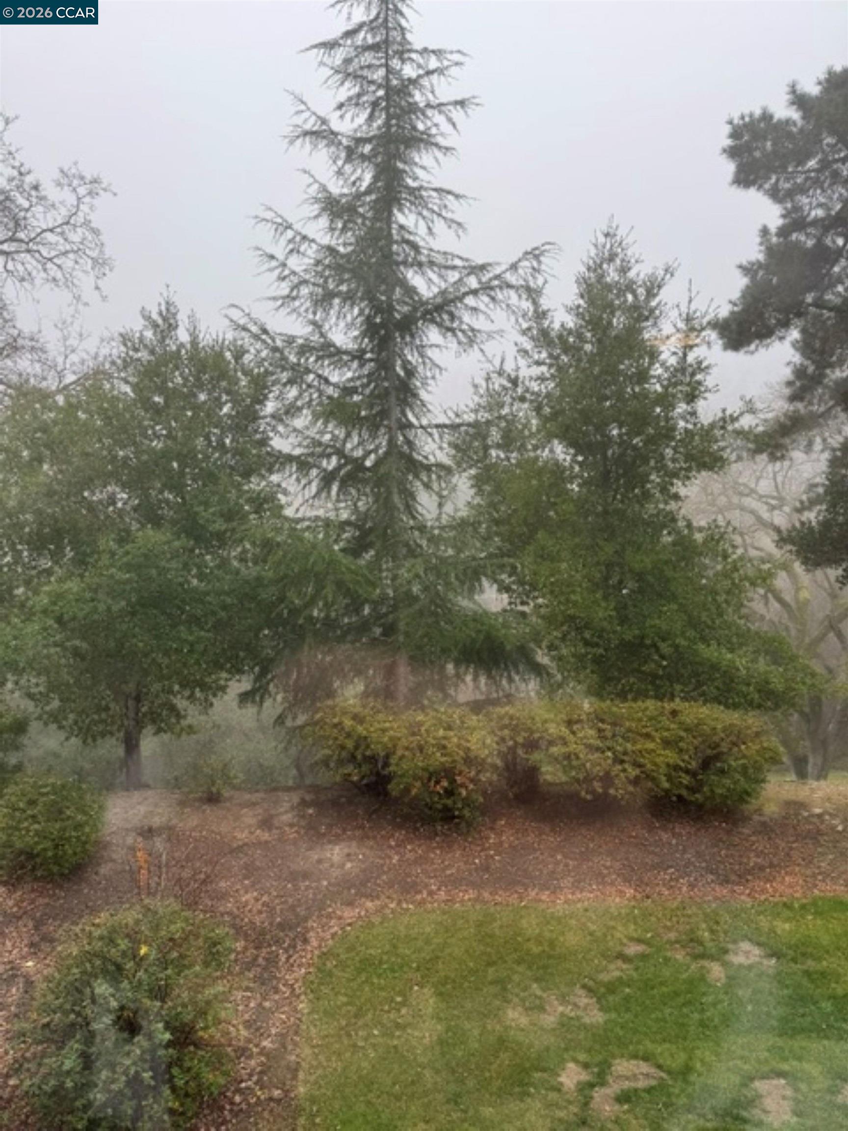 Detail Gallery Image 41 of 43 For 1857 Golden Rain Rd #1,  Walnut Creek,  CA 94595 - 2 Beds | 2 Baths