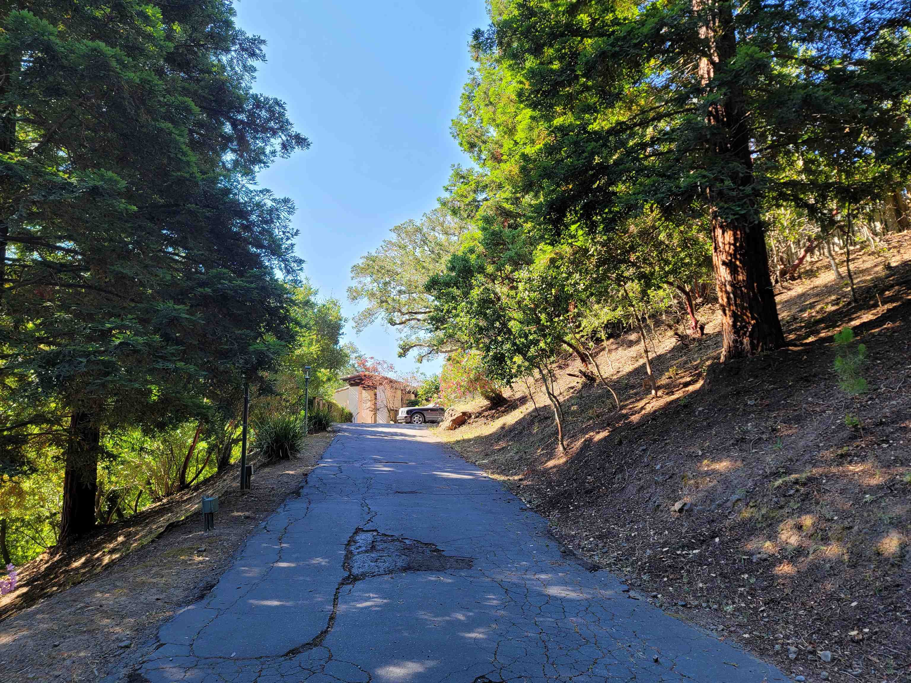 Detail Gallery Image 3 of 59 For 40 Hilldale Ct, Orinda,  CA 94563 - 5 Beds | 4/1 Baths