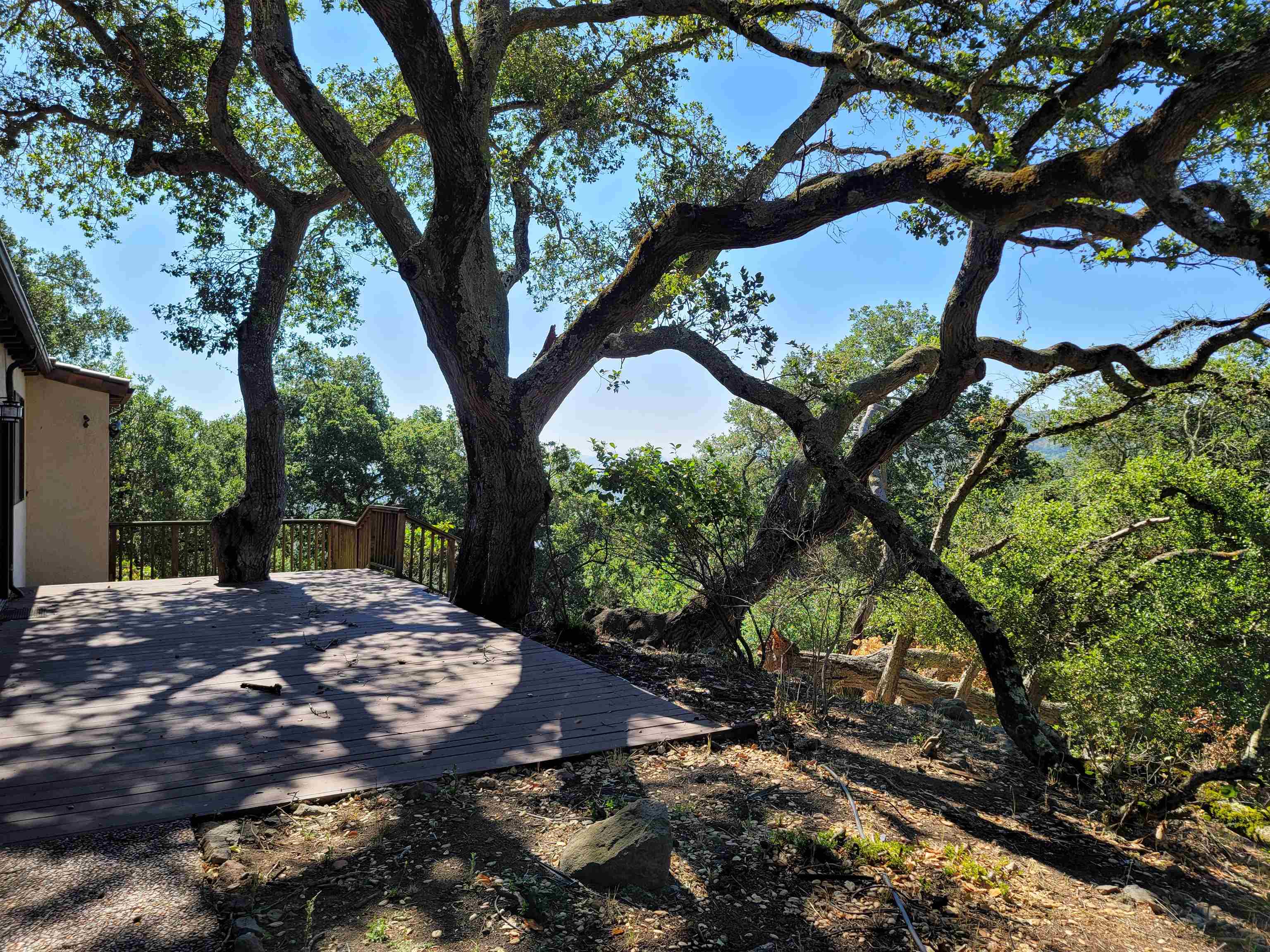 Detail Gallery Image 38 of 59 For 40 Hilldale Ct, Orinda,  CA 94563 - 5 Beds | 4/1 Baths