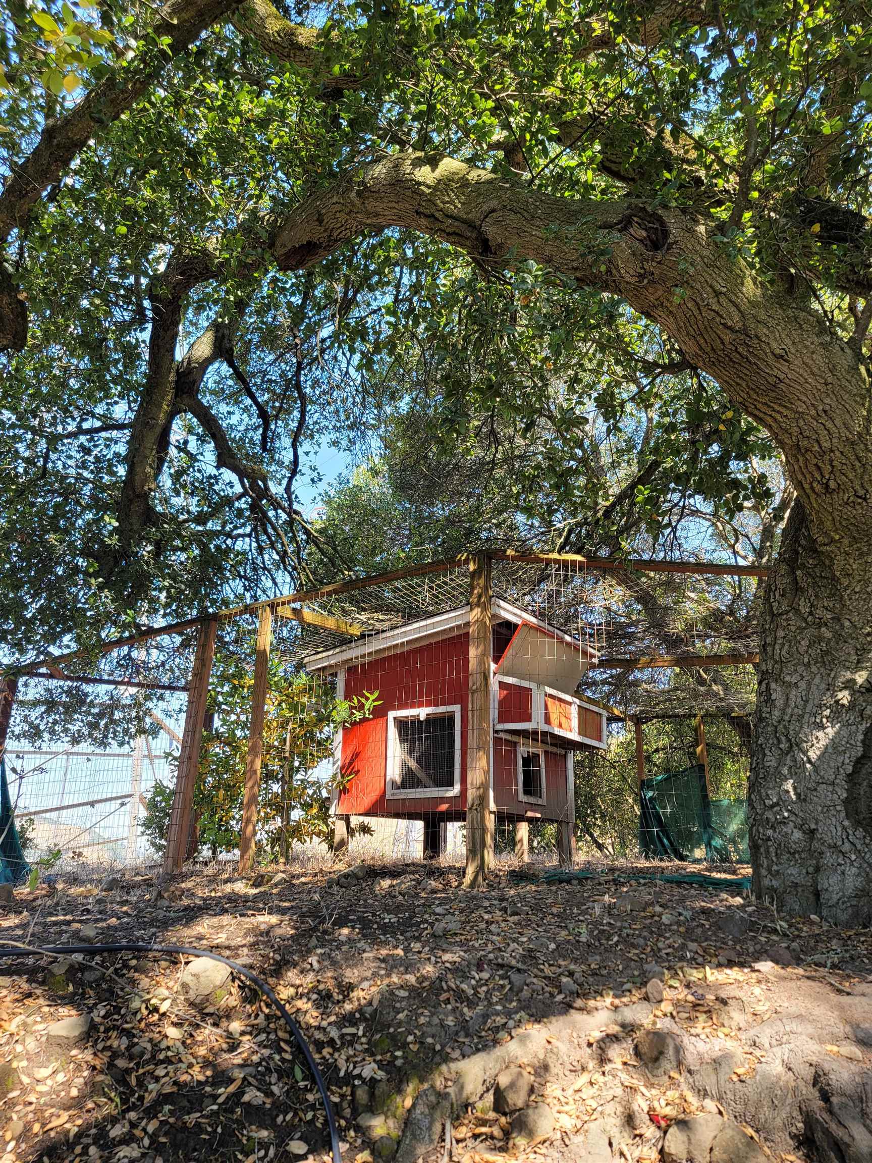 Detail Gallery Image 48 of 59 For 40 Hilldale Ct, Orinda,  CA 94563 - 5 Beds | 4/1 Baths