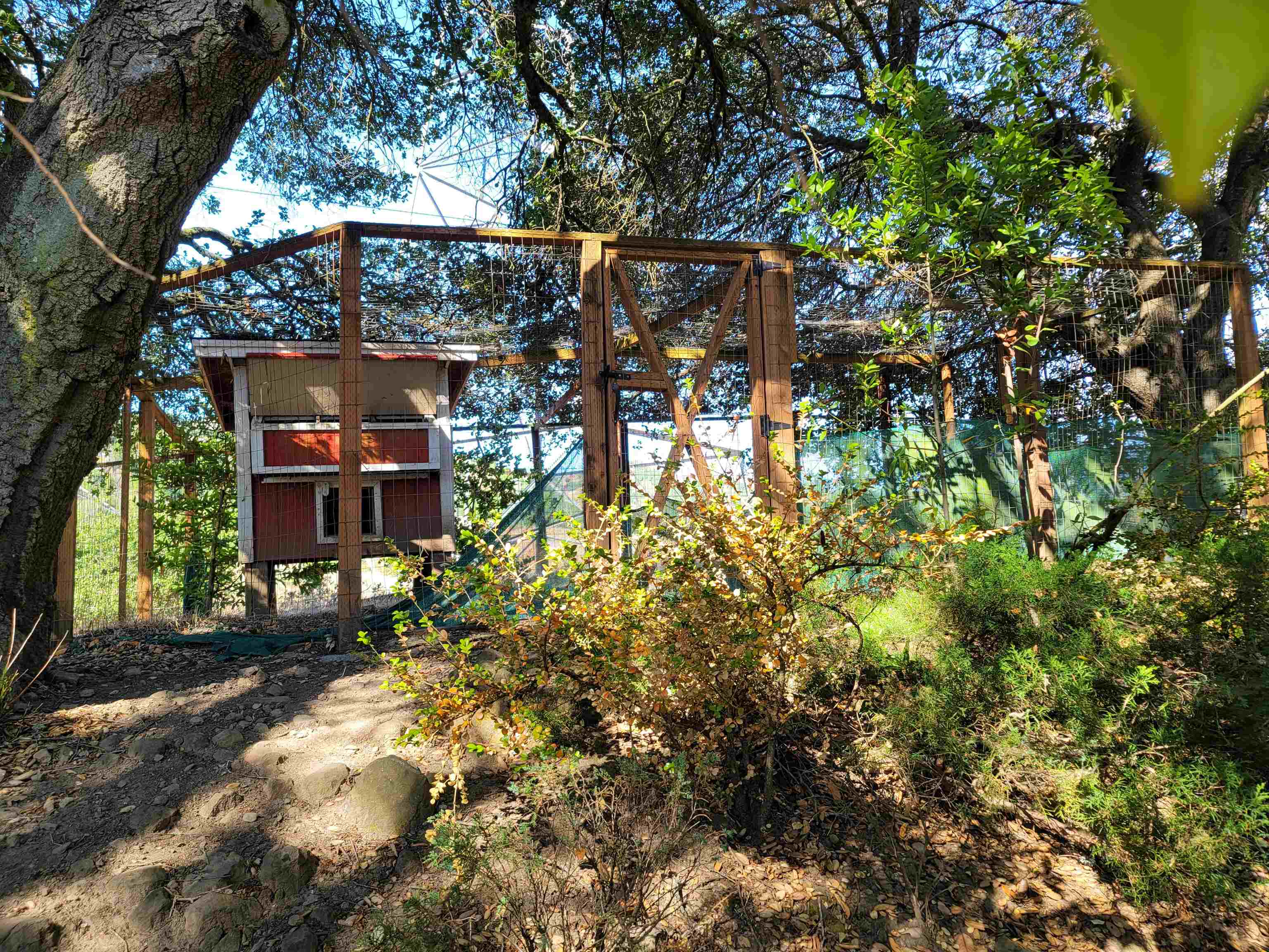 Detail Gallery Image 49 of 59 For 40 Hilldale Ct, Orinda,  CA 94563 - 5 Beds | 4/1 Baths