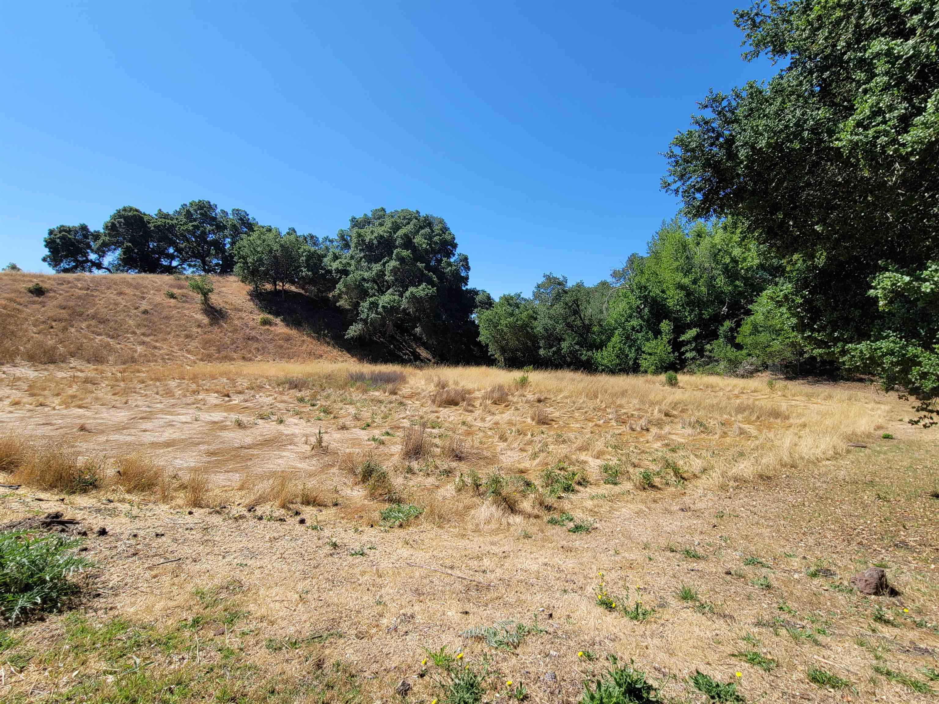 Detail Gallery Image 51 of 59 For 40 Hilldale Ct, Orinda,  CA 94563 - 5 Beds | 4/1 Baths