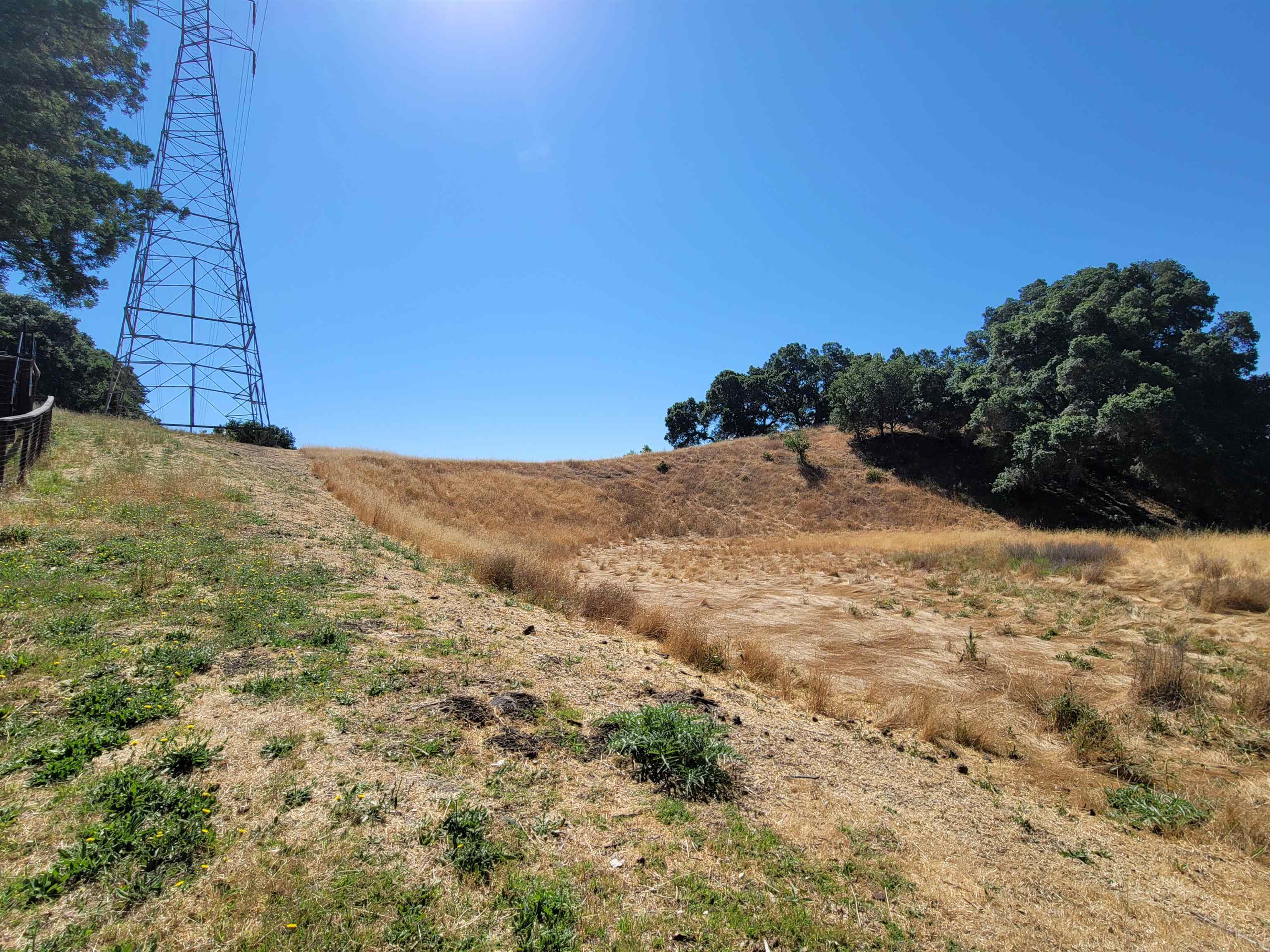 Detail Gallery Image 52 of 59 For 40 Hilldale Ct, Orinda,  CA 94563 - 5 Beds | 4/1 Baths