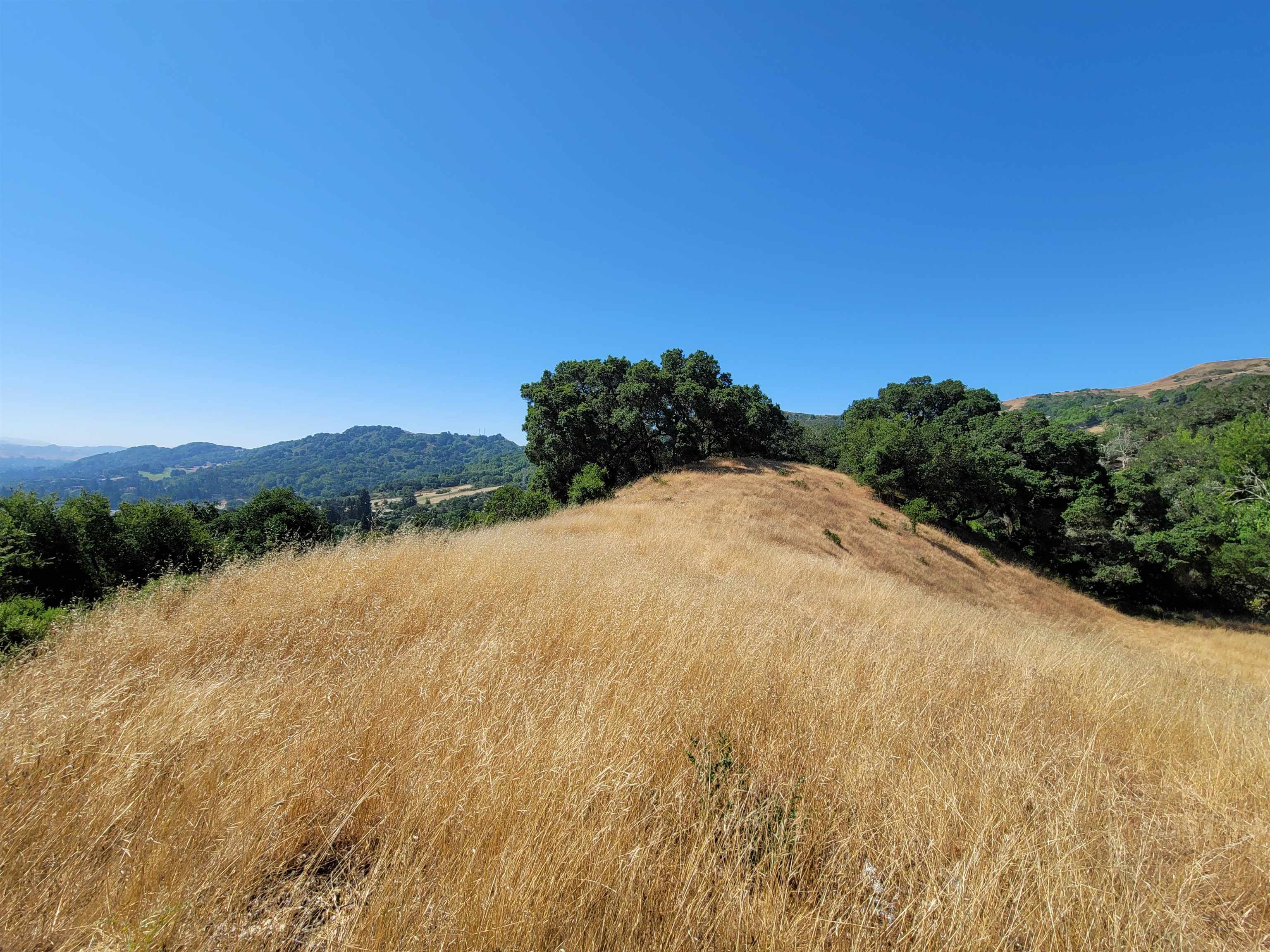 Detail Gallery Image 53 of 59 For 40 Hilldale Ct, Orinda,  CA 94563 - 5 Beds | 4/1 Baths
