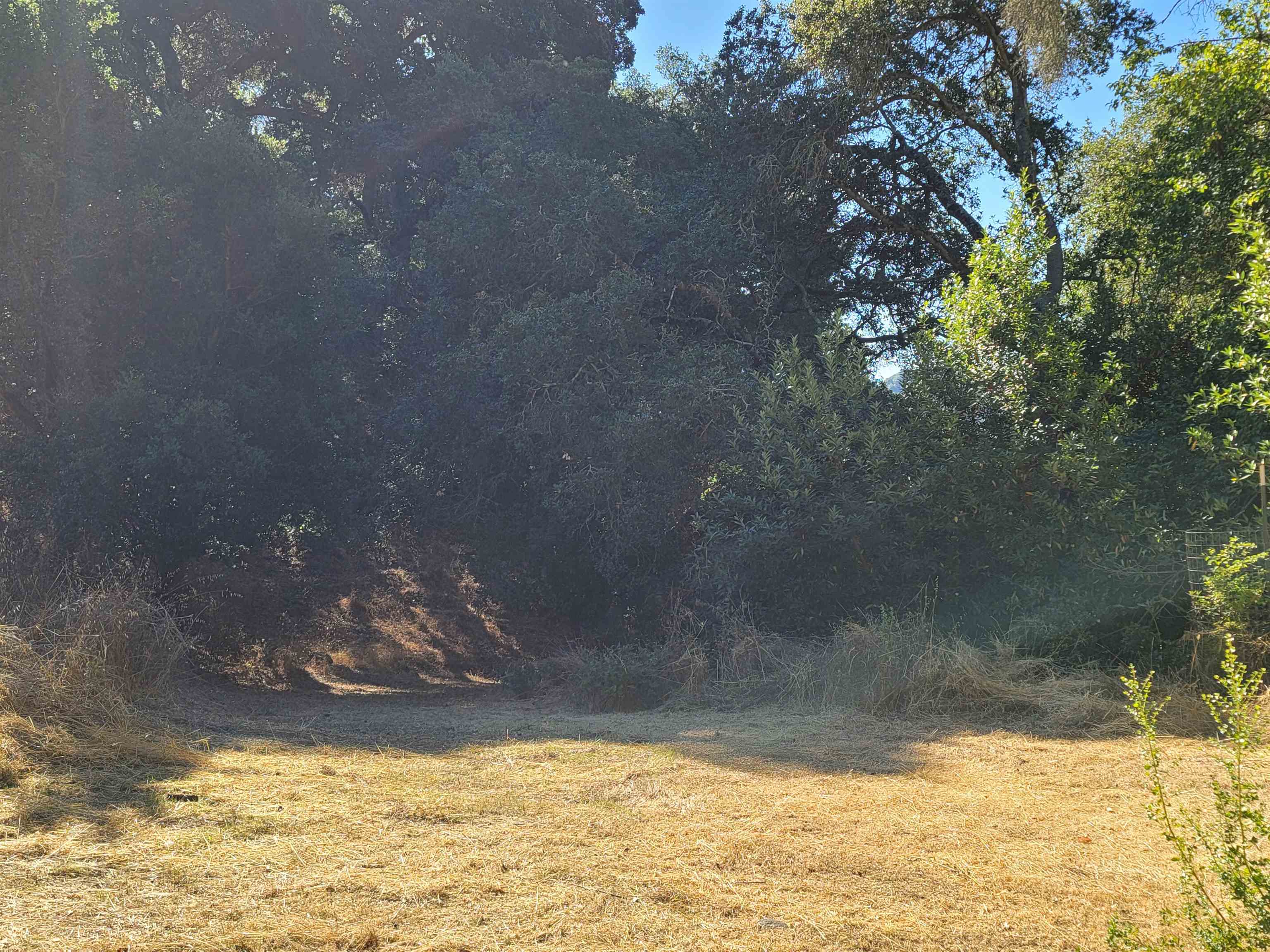 Detail Gallery Image 57 of 59 For 40 Hilldale Ct, Orinda,  CA 94563 - 5 Beds | 4/1 Baths