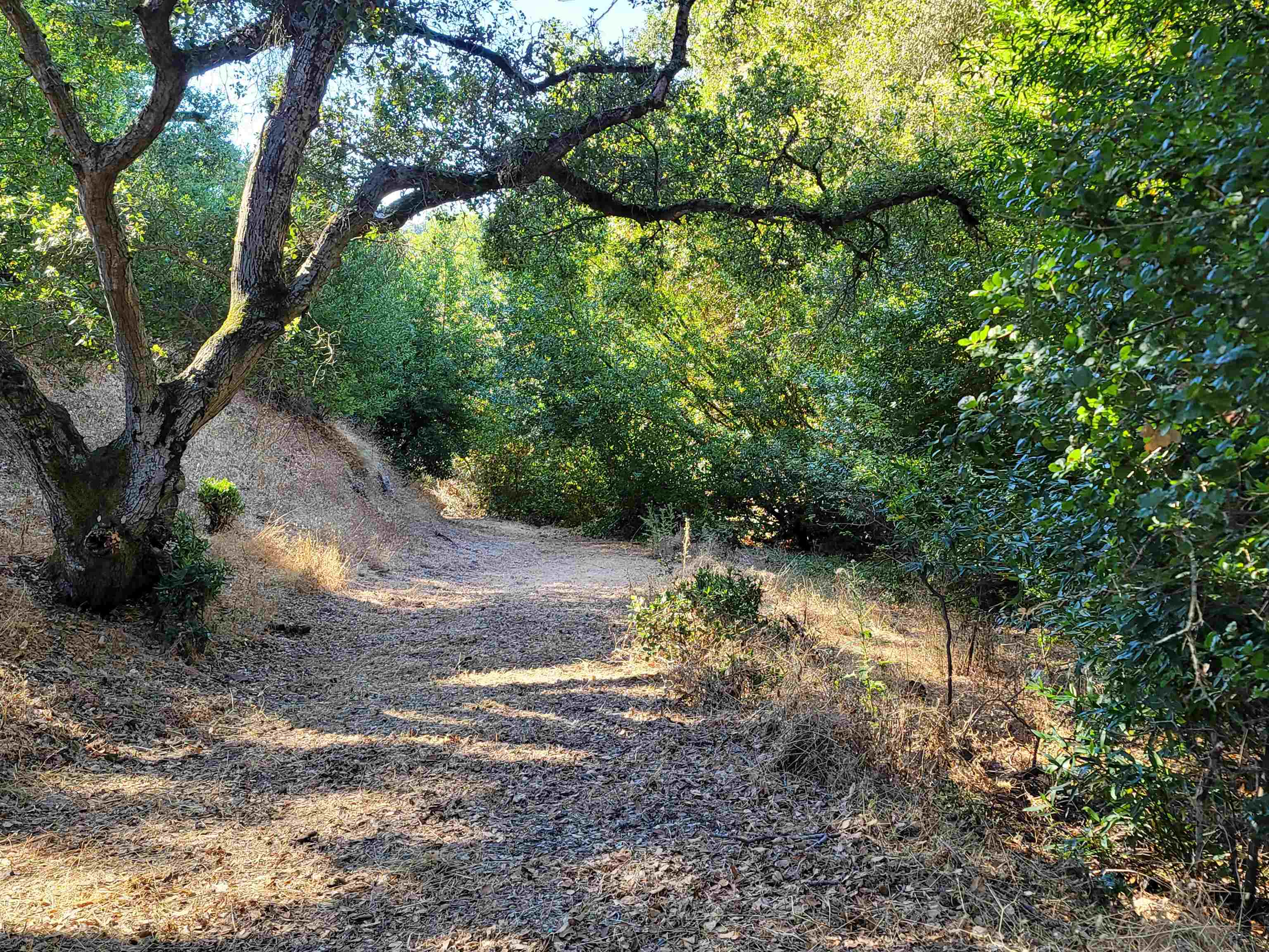 Detail Gallery Image 58 of 59 For 40 Hilldale Ct, Orinda,  CA 94563 - 5 Beds | 4/1 Baths