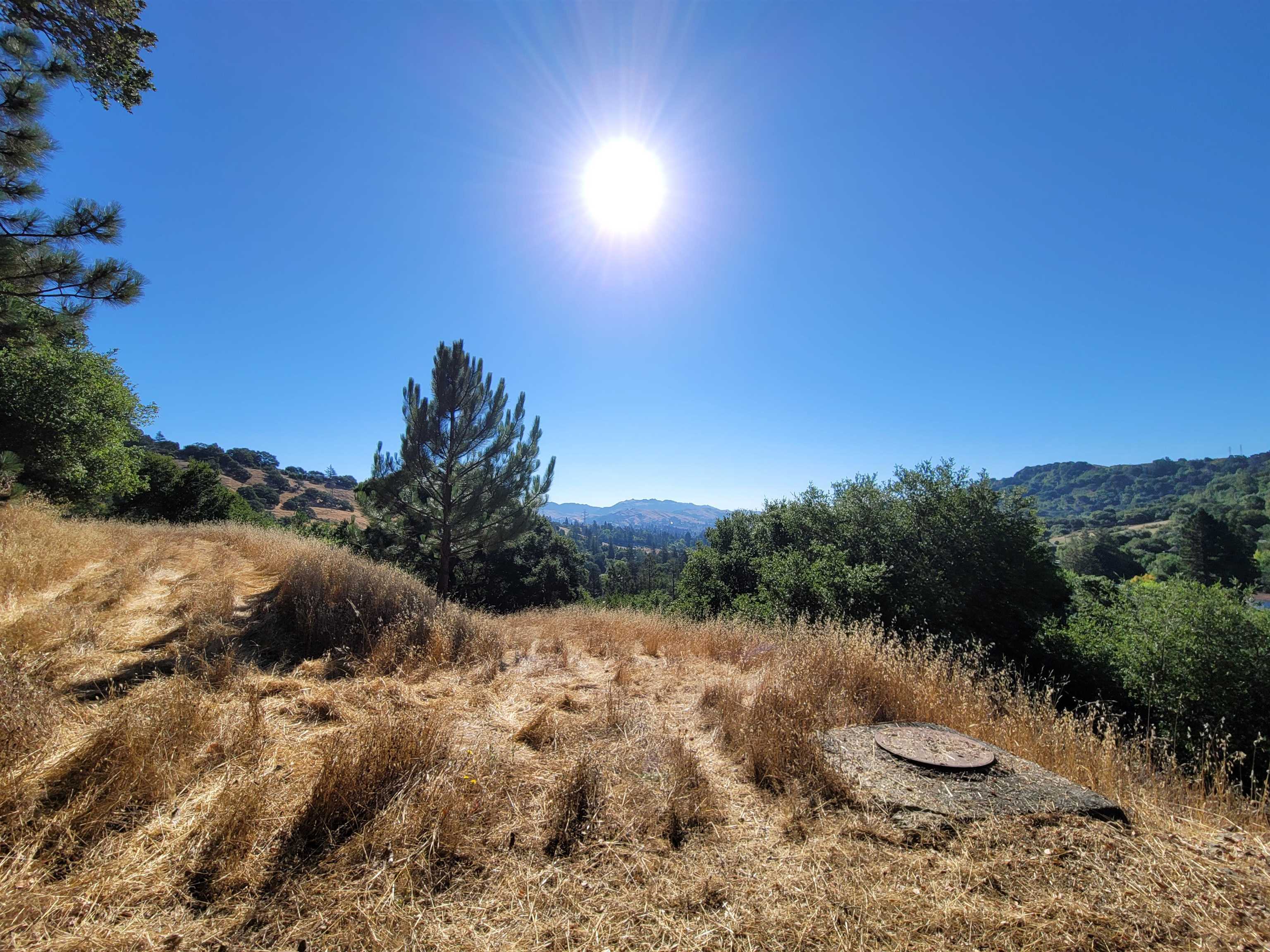 Detail Gallery Image 59 of 59 For 40 Hilldale Ct, Orinda,  CA 94563 - 5 Beds | 4/1 Baths