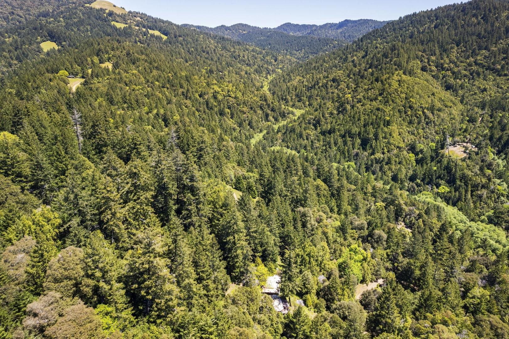 Detail Gallery Image 2 of 16 For 1 Panther Gap Rd., Honeydew,  CA 95545 - – Beds | – Baths