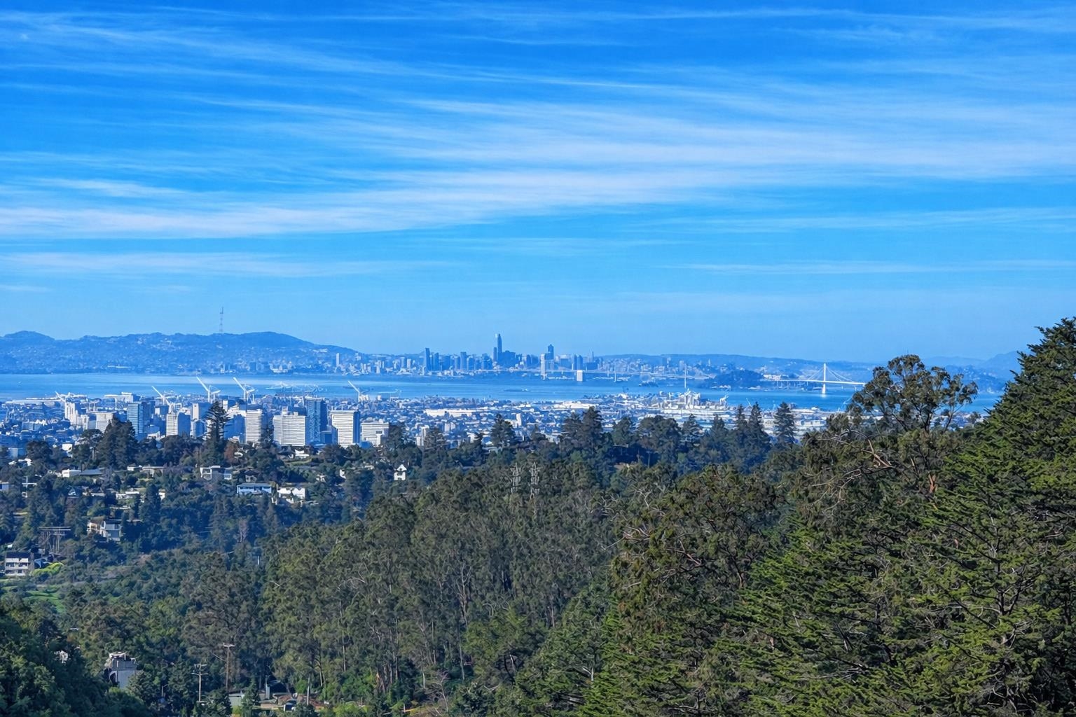 Front Image Thumbnail for EB41121305