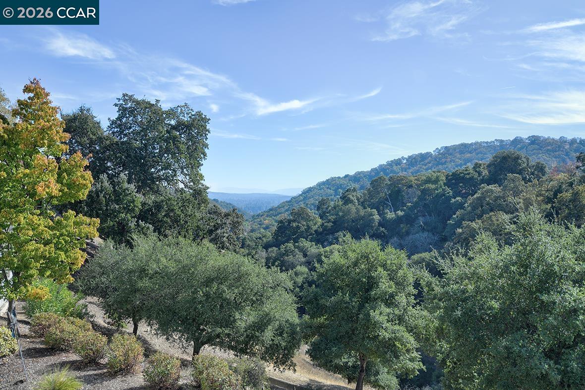 Front Image Thumbnail for CC41121306