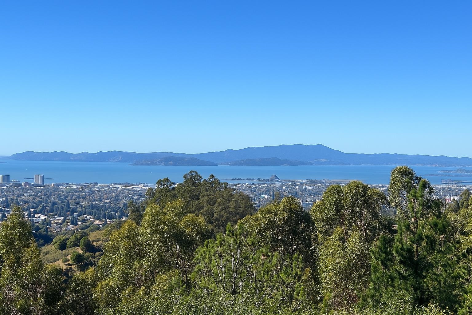 Detail Gallery Image 51 of 55 For 6413 Gwin Ct, Oakland,  CA 94611 - 4 Beds | 3/1 Baths