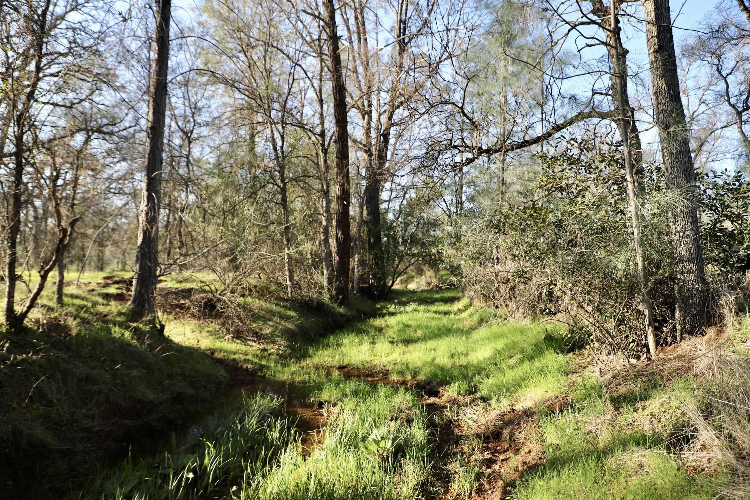 Detail Gallery Image 13 of 15 For 10282 Piney Creek, –,  CA 95311 - – Beds | – Baths