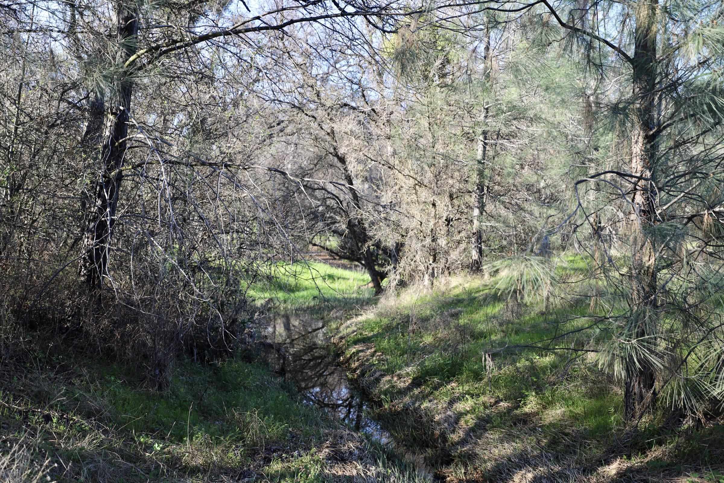 Detail Gallery Image 14 of 15 For 10282 Piney Creek, –,  CA 95311 - – Beds | – Baths