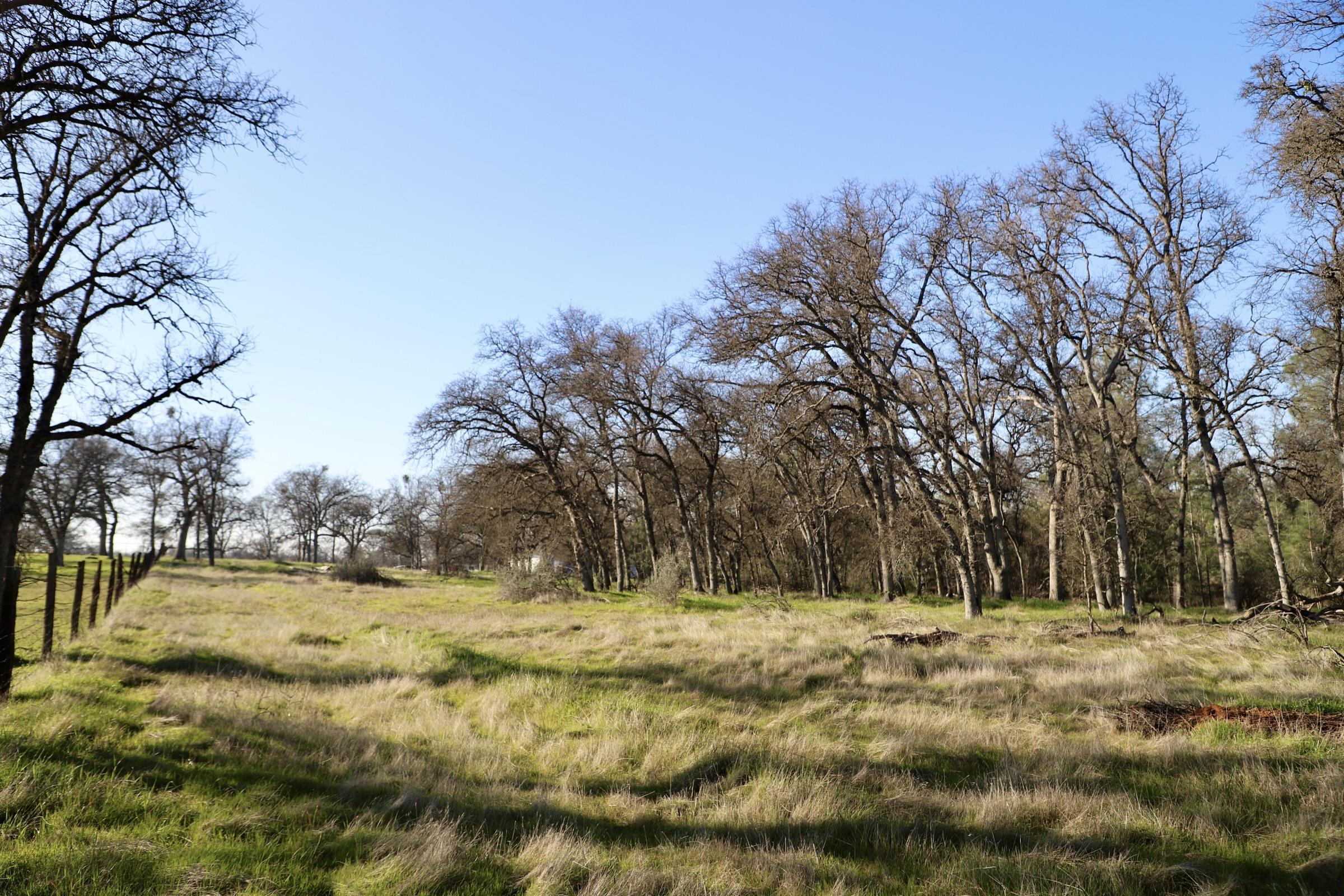 Detail Gallery Image 15 of 15 For 10282 Piney Creek, –,  CA 95311 - – Beds | – Baths