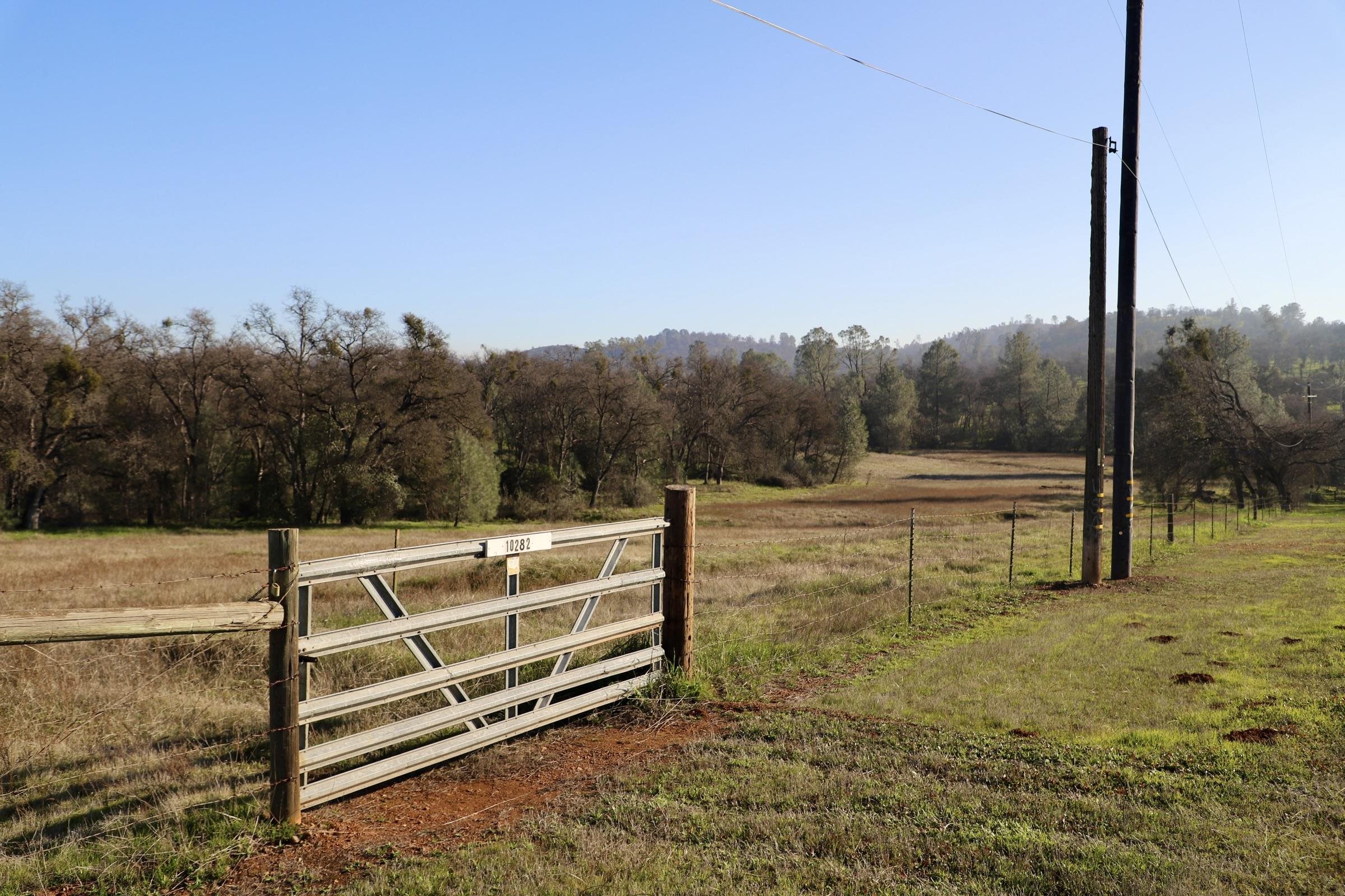 Detail Gallery Image 3 of 15 For 10282 Piney Creek, –,  CA 95311 - – Beds | – Baths