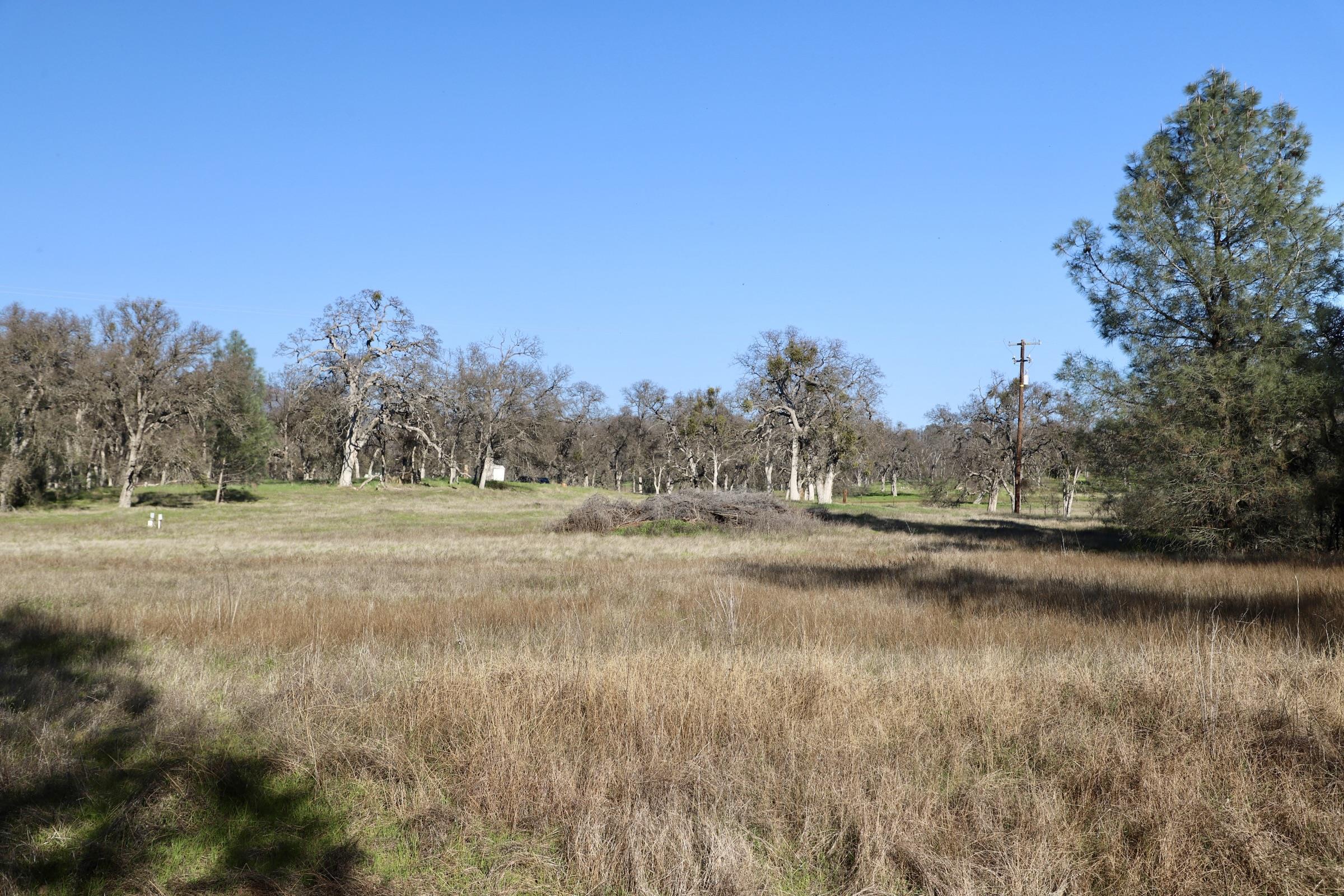 Detail Gallery Image 4 of 15 For 10282 Piney Creek, –,  CA 95311 - – Beds | – Baths