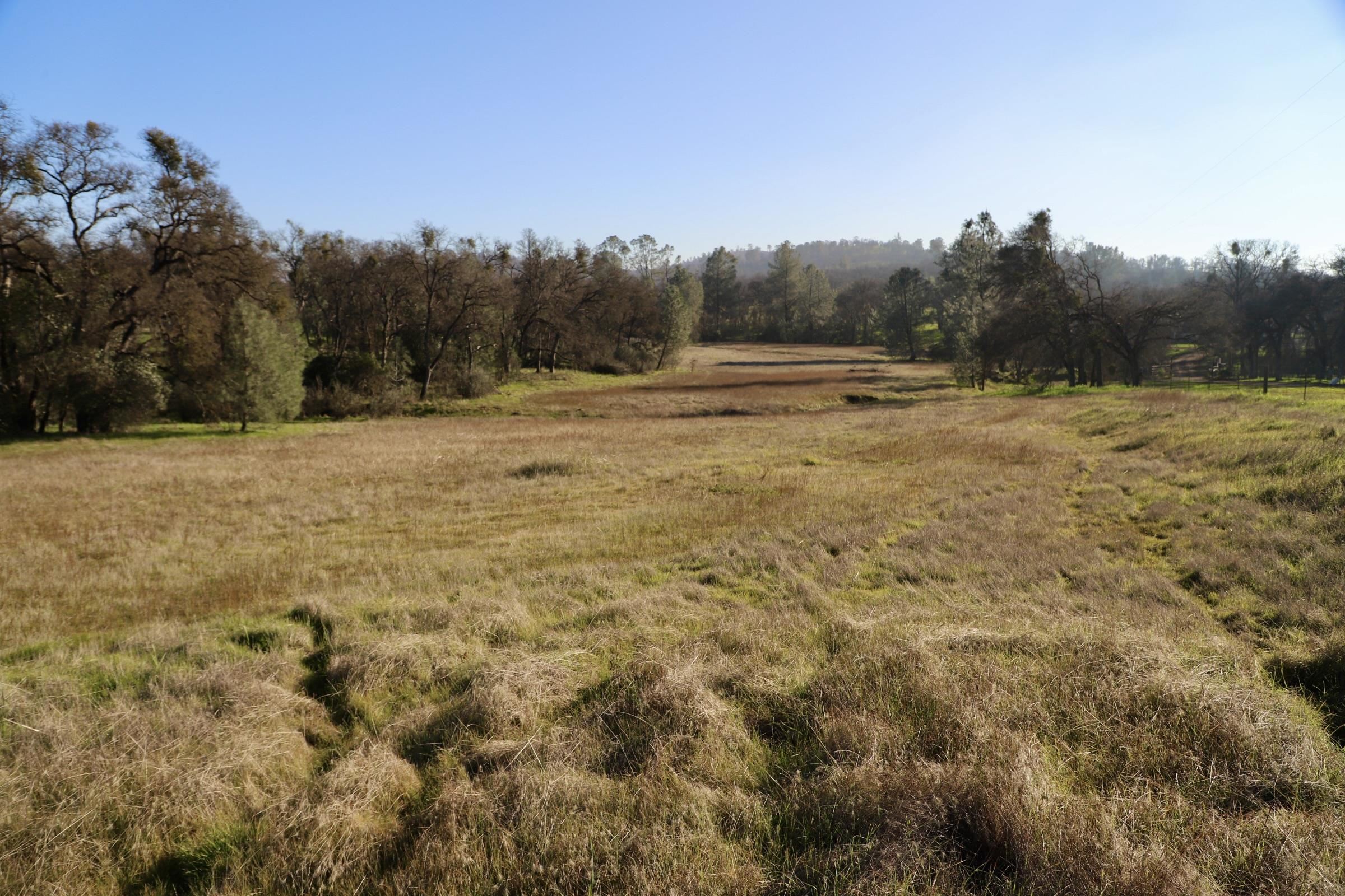 Detail Gallery Image 6 of 15 For 10282 Piney Creek, –,  CA 95311 - – Beds | – Baths