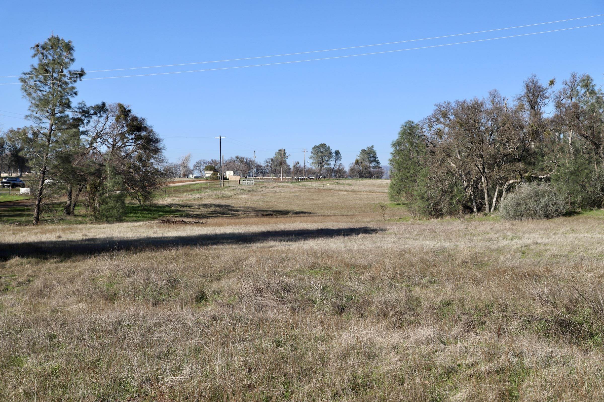 Detail Gallery Image 7 of 15 For 10282 Piney Creek, –,  CA 95311 - – Beds | – Baths