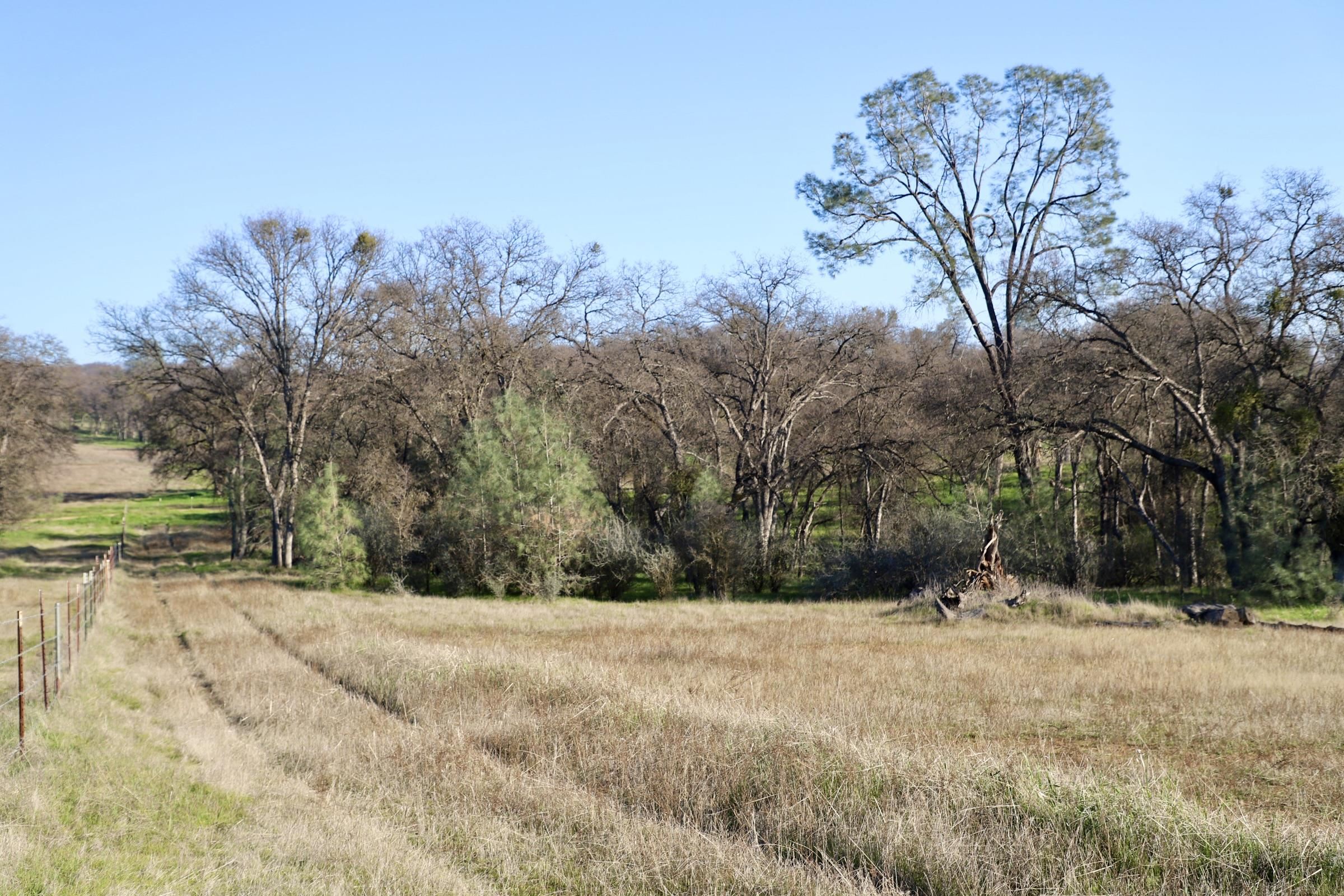 Detail Gallery Image 8 of 15 For 10282 Piney Creek, –,  CA 95311 - – Beds | – Baths