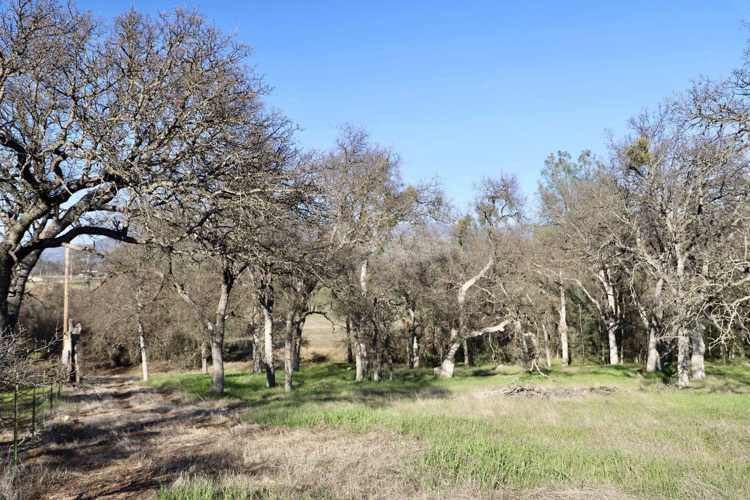 Detail Gallery Image 10 of 15 For 10282 Piney Creek, –,  CA 95311 - – Beds | – Baths