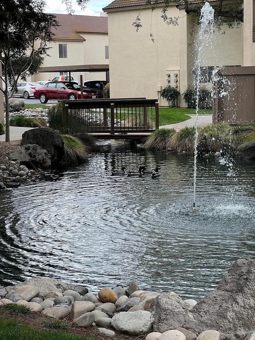 Detail Gallery Image 3 of 36 For 3701 Colonial Dr #36,  Modesto,  CA 95356 - 1 Beds | 1 Baths