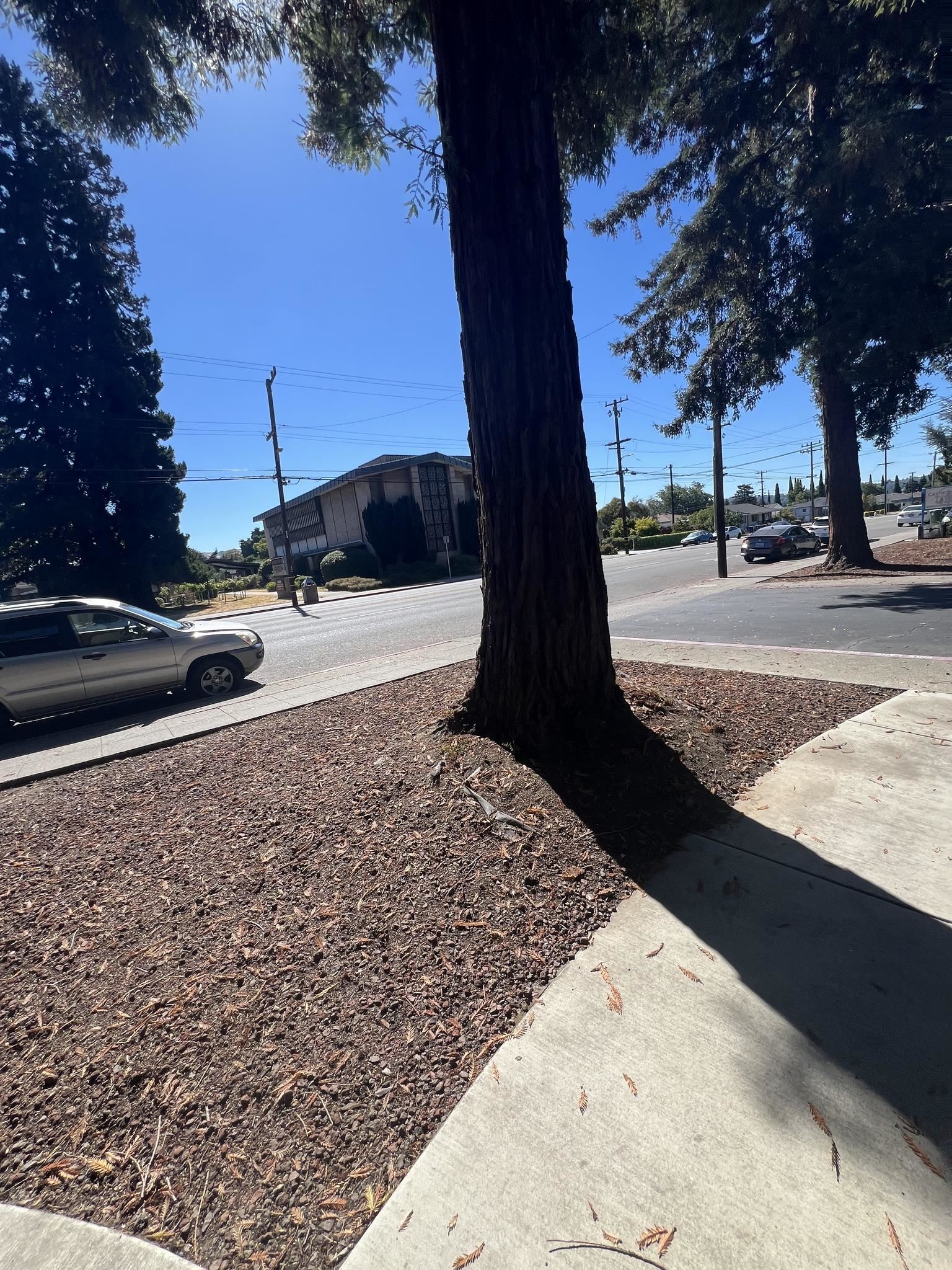 Detail Gallery Image 9 of 9 For 20077 Redwood Rd #1,  Castro Valley,  CA 94546 - 2 Beds | 1/1 Baths