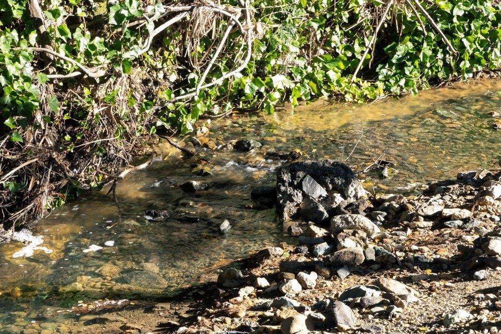 Detail Gallery Image 11 of 47 For 9600 Golf Links, Oakland,  CA 94605 - 2 Beds | 1 Baths