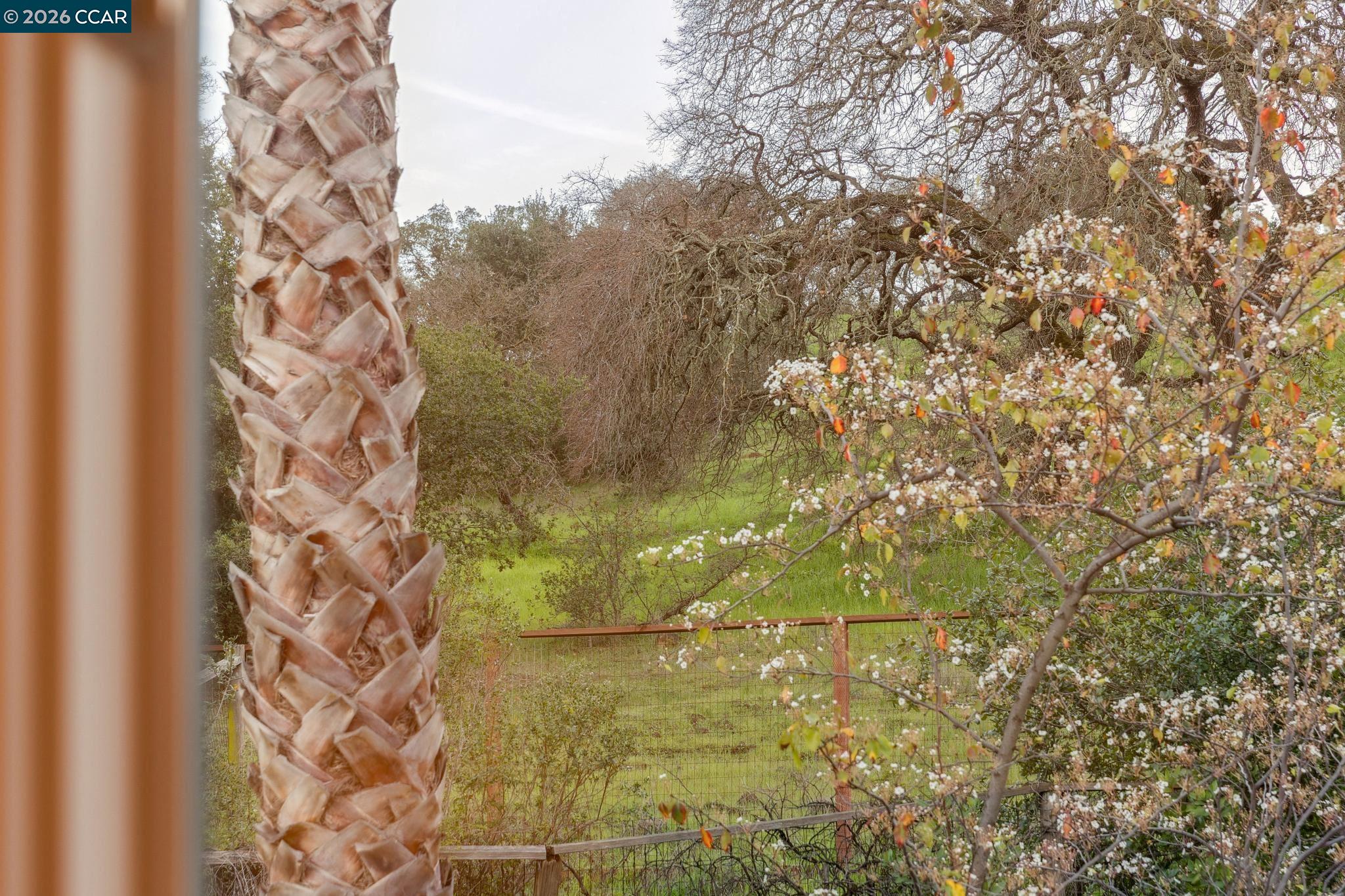 Detail Gallery Image 26 of 48 For 53 Paso Nogal Ct, Pleasant Hill,  CA 94553 - 4 Beds | 3 Baths