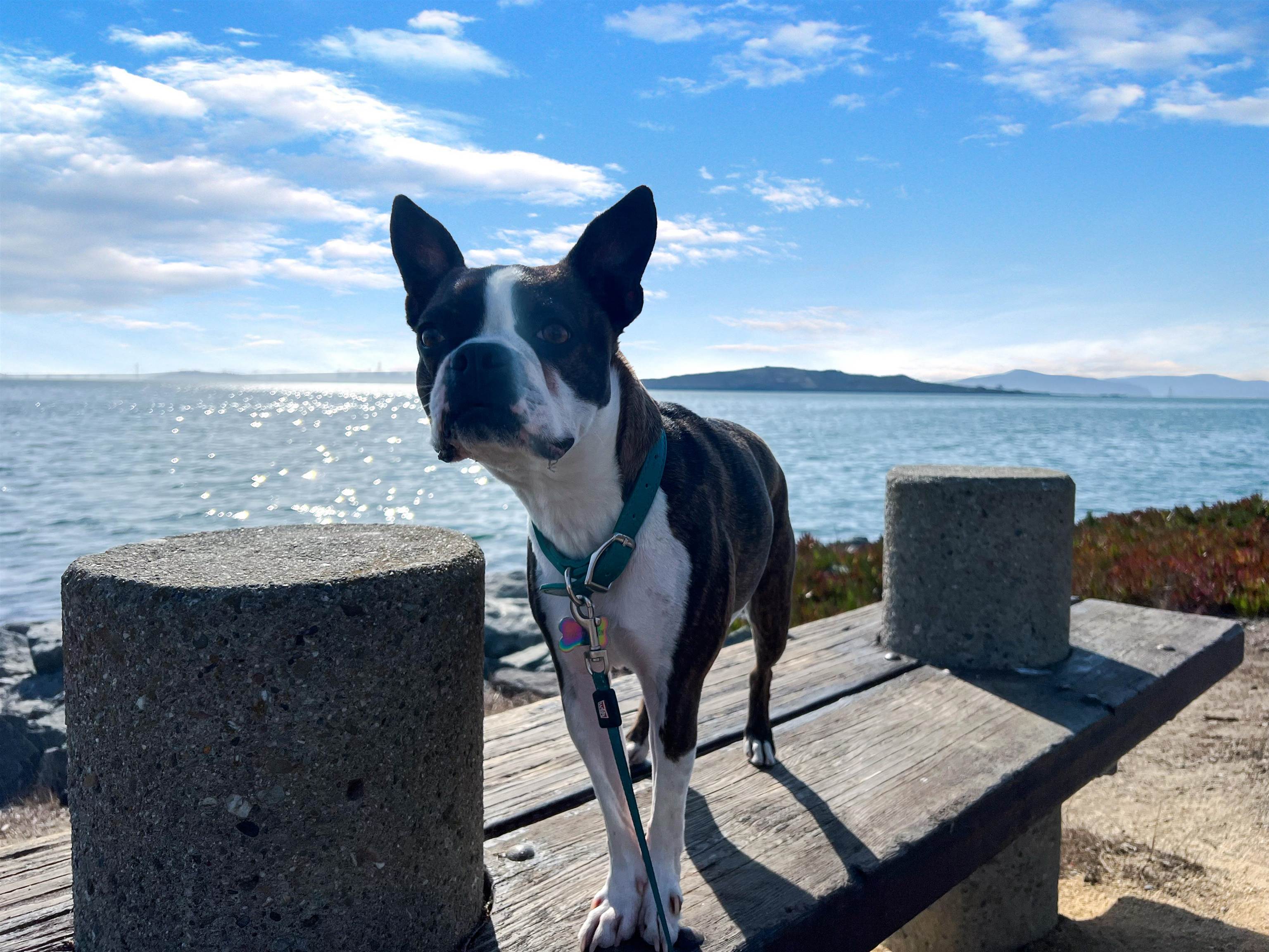 Detail Gallery Image 58 of 59 For 1901 Maritime Way, Richmond,  CA 94804 - 3 Beds | 3/1 Baths