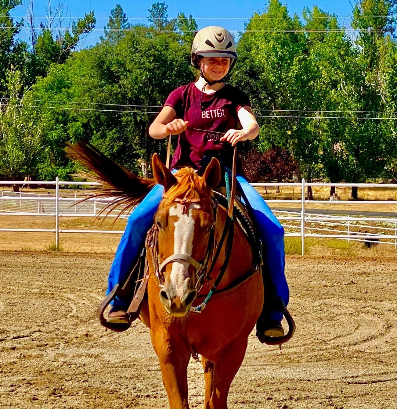 Detail Gallery Image 43 of 60 For 19099 Raboul Court, Groveland,  CA 95321-0000 - 3 Beds | 2 Baths