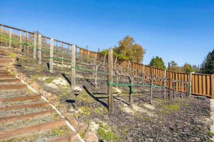 Detail Gallery Image 40 of 51 For 387 Golden Grass Dr, Alamo,  CA 94507 - 4 Beds | 4/1 Baths