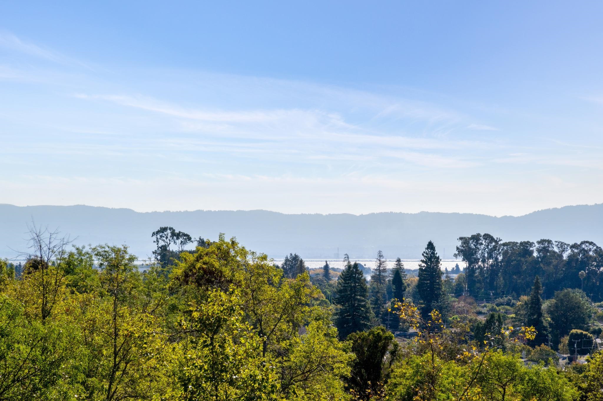 Detail Gallery Image 5 of 52 For 10768 Sheldon St, Oakland,  CA 94605 - 3 Beds | 2 Baths