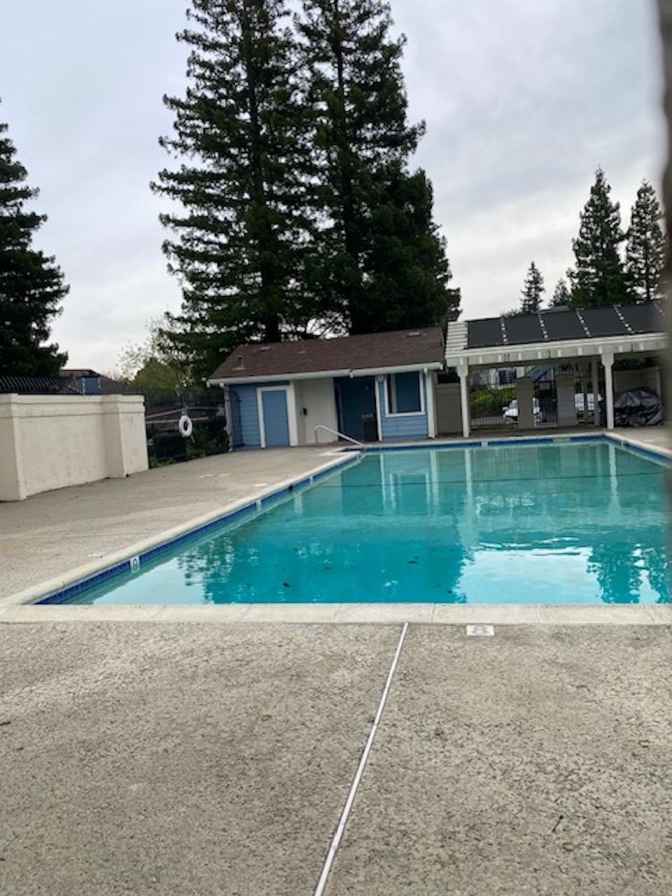 Photo #18: 41121459 Listing: Photo #18