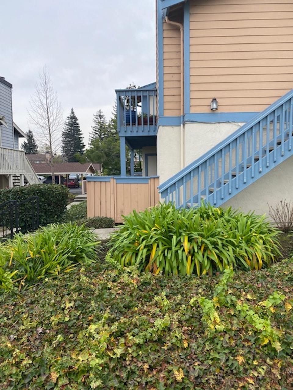 Photo #19: 41121459 Listing: Photo #19