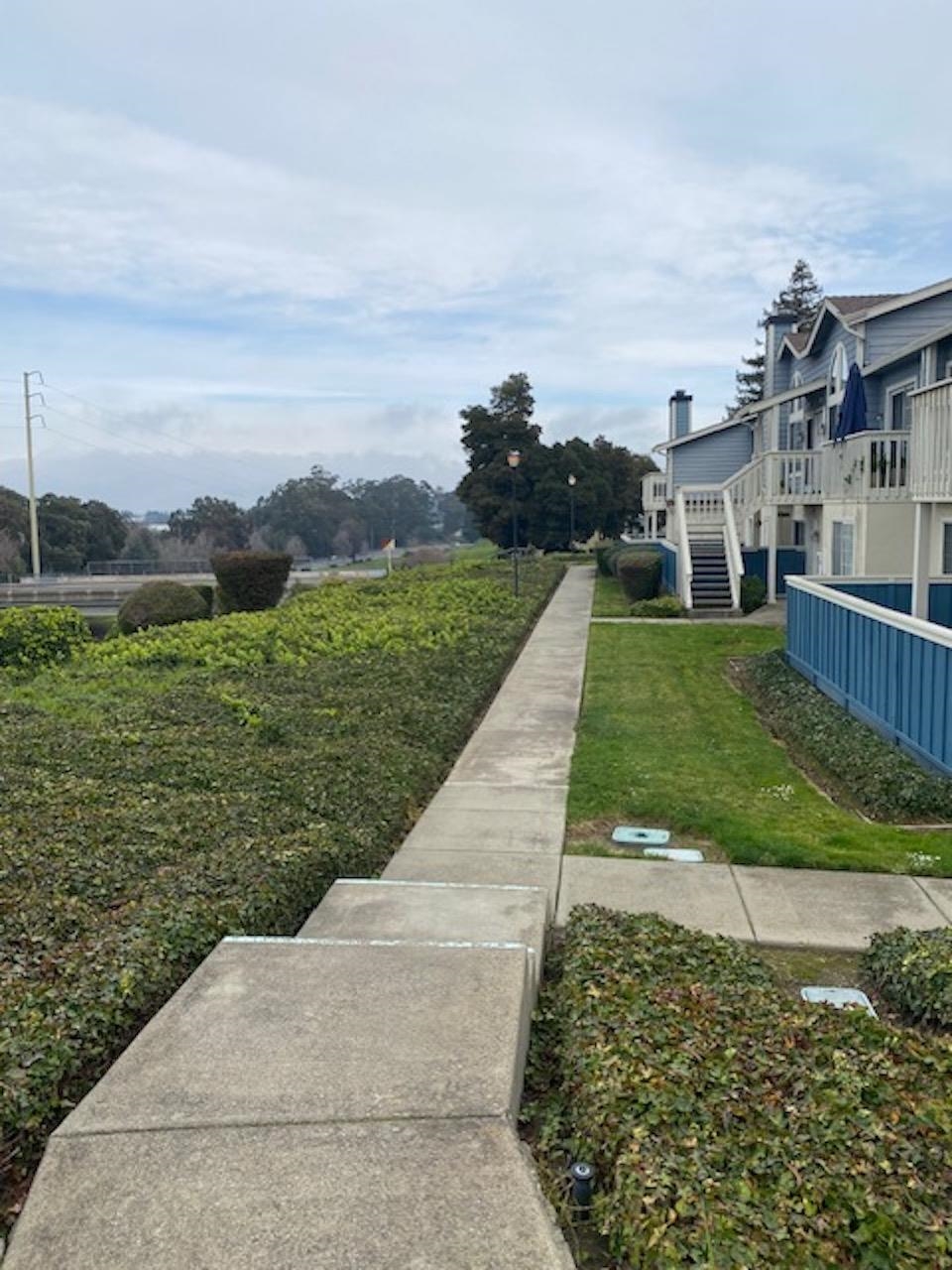 Photo #20: 41121459 Listing: Photo #20