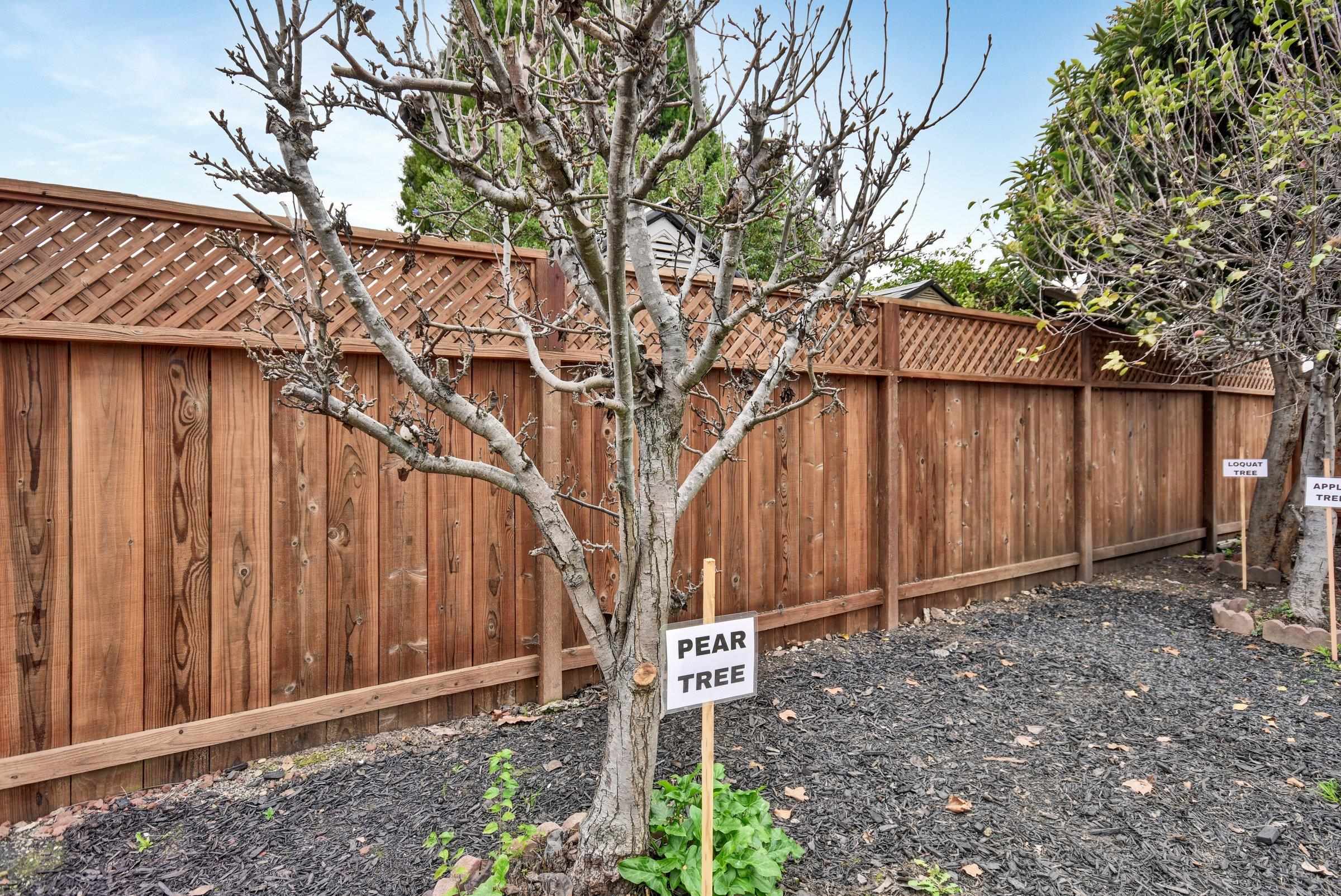 Detail Gallery Image 34 of 43 For 1757 143rd Ave, San Leandro,  CA 94578 - 2 Beds | 1 Baths