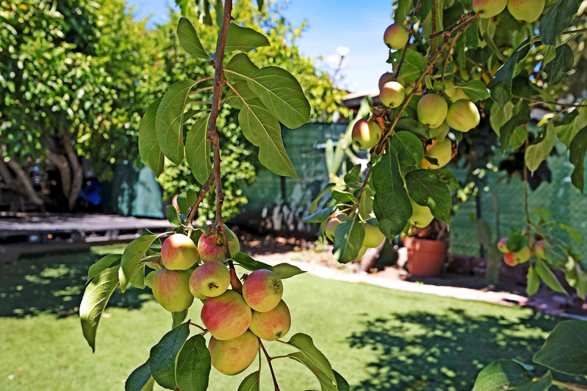 Detail Gallery Image 3 of 42 For 2309 High St, Oakland,  CA 94601 - 3 Beds | 2/1 Baths