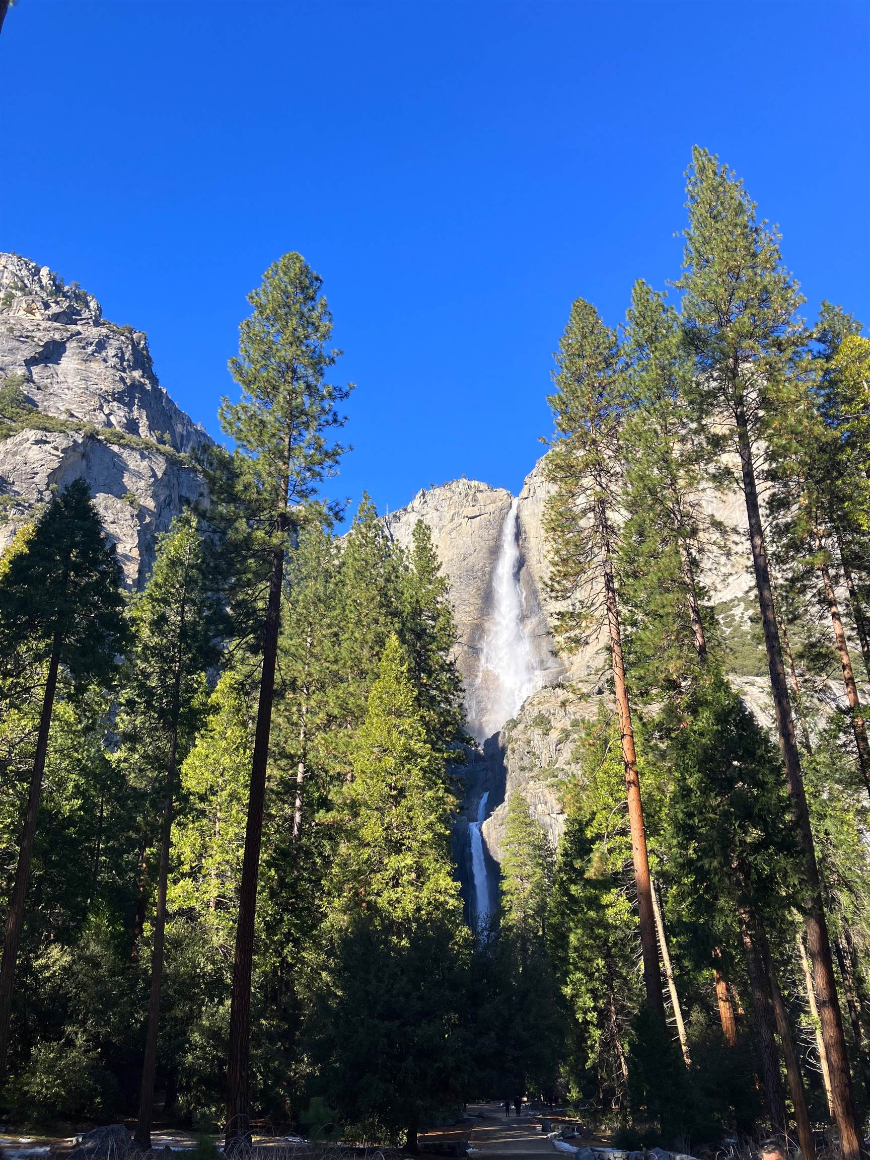 Detail Gallery Image 41 of 56 For 18996 Digger Pine St., Groveland,  CA 95321 - 2 Beds | 2 Baths