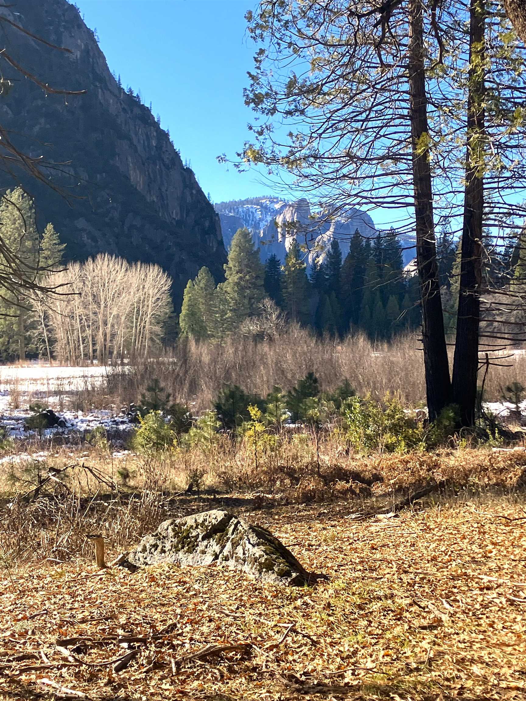 Detail Gallery Image 42 of 56 For 18996 Digger Pine St., Groveland,  CA 95321 - 2 Beds | 2 Baths