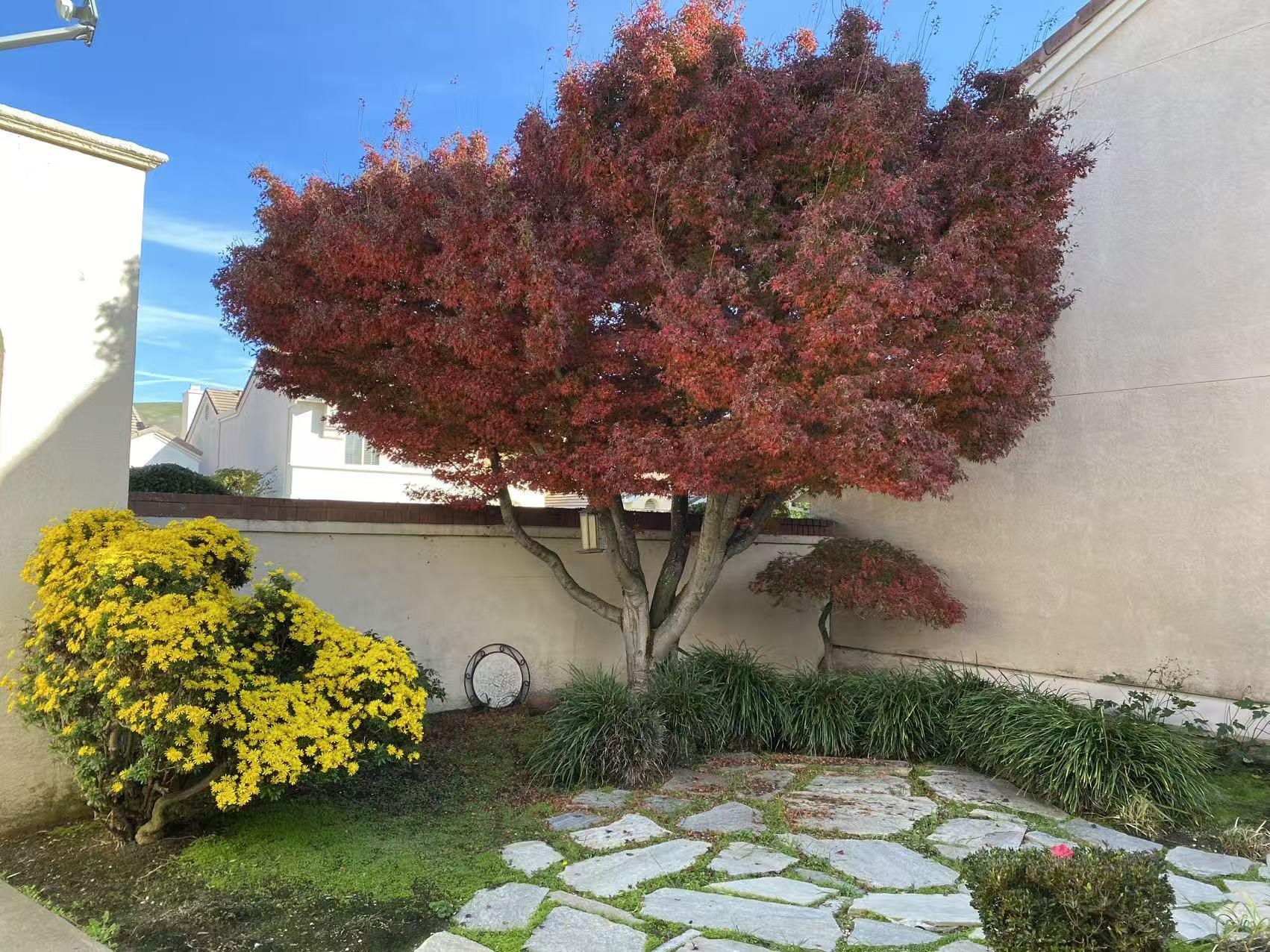 Detail Gallery Image 2 of 56 For 2190 Canyon Lakes Dr, San Ramon,  CA 94582 - 3 Beds | 3 Baths