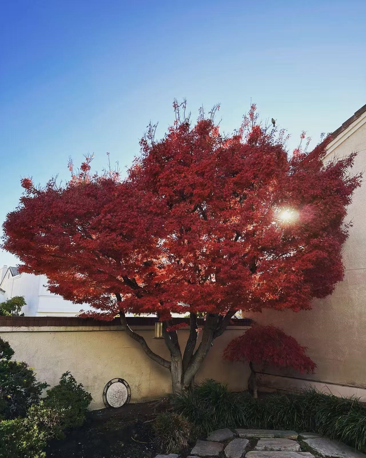 Detail Gallery Image 56 of 56 For 2190 Canyon Lakes Dr, San Ramon,  CA 94582 - 3 Beds | 3 Baths