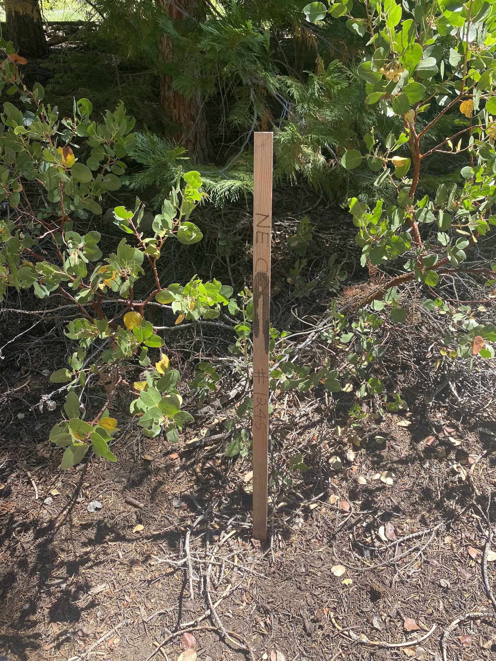 Detail Gallery Image 3 of 16 For 33994 Leland Meadow Rd, Pinecrest,  CA 95364 - – Beds | – Baths