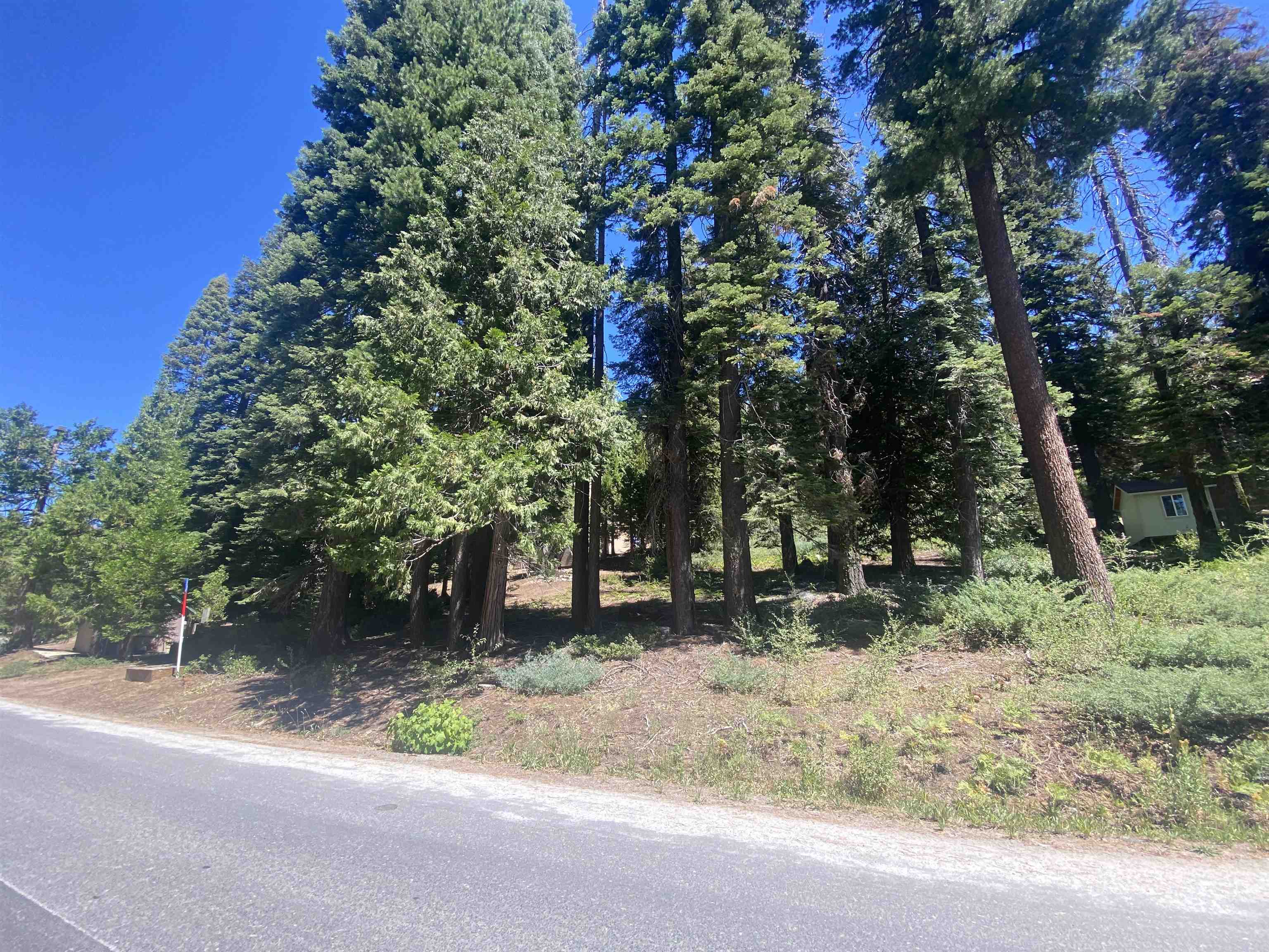 Detail Gallery Image 4 of 16 For 33994 Leland Meadow Rd, Pinecrest,  CA 95364 - – Beds | – Baths