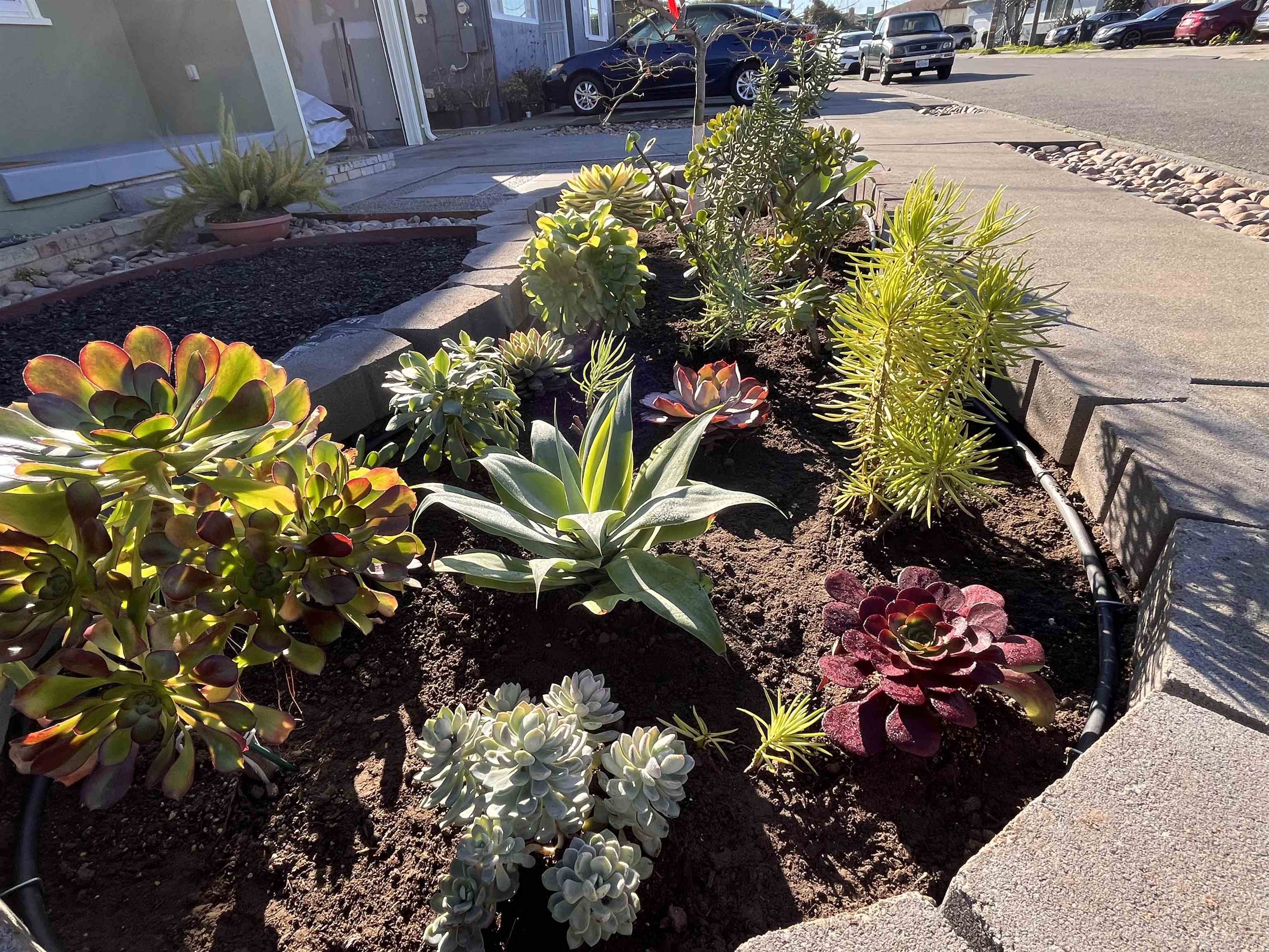 Detail Gallery Image 31 of 31 For 15382 Andover St, San Leandro,  CA 94579 - 2 Beds | 1 Baths