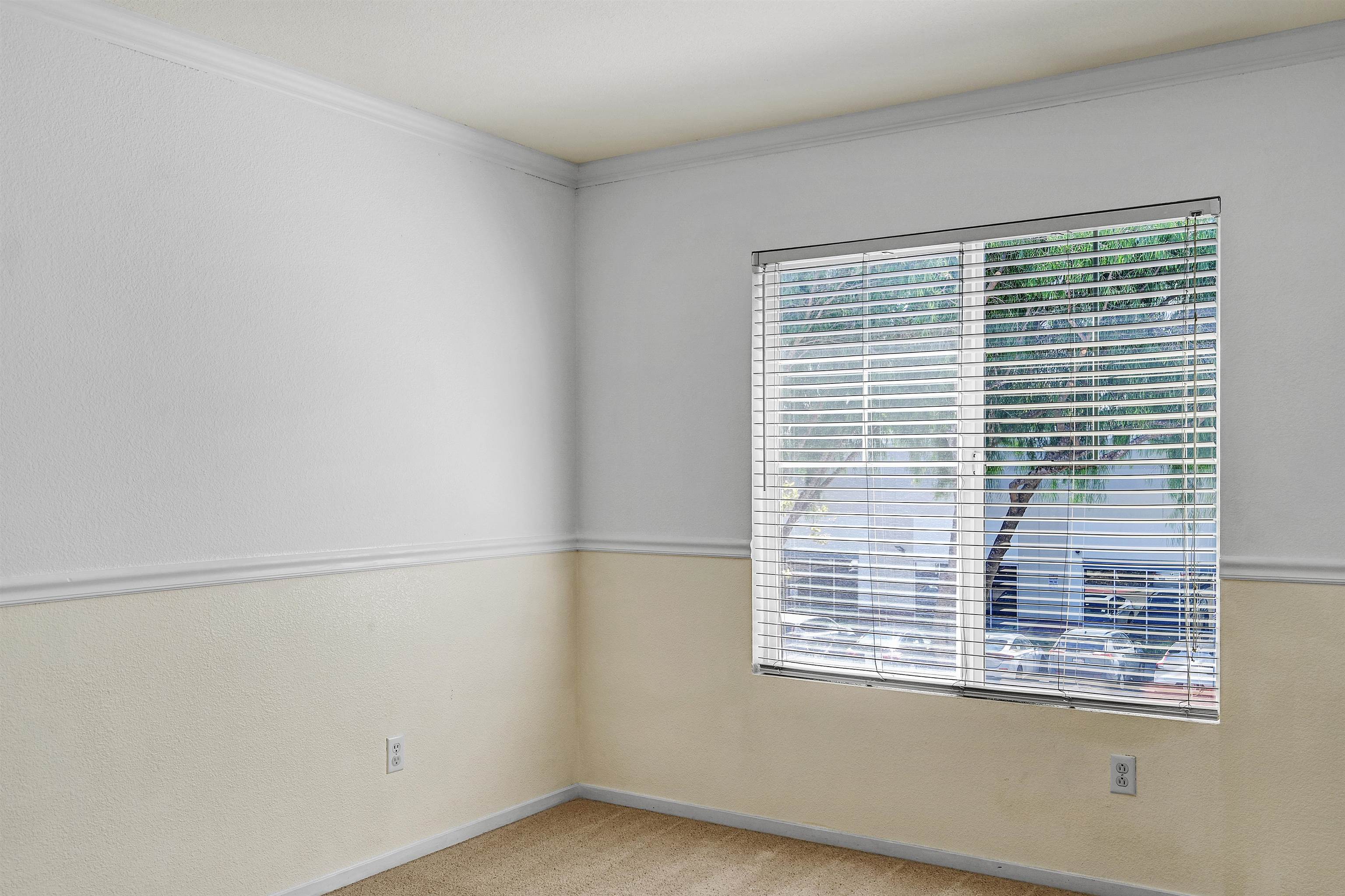 Photo #2: 41121558 Listing: Photo #2